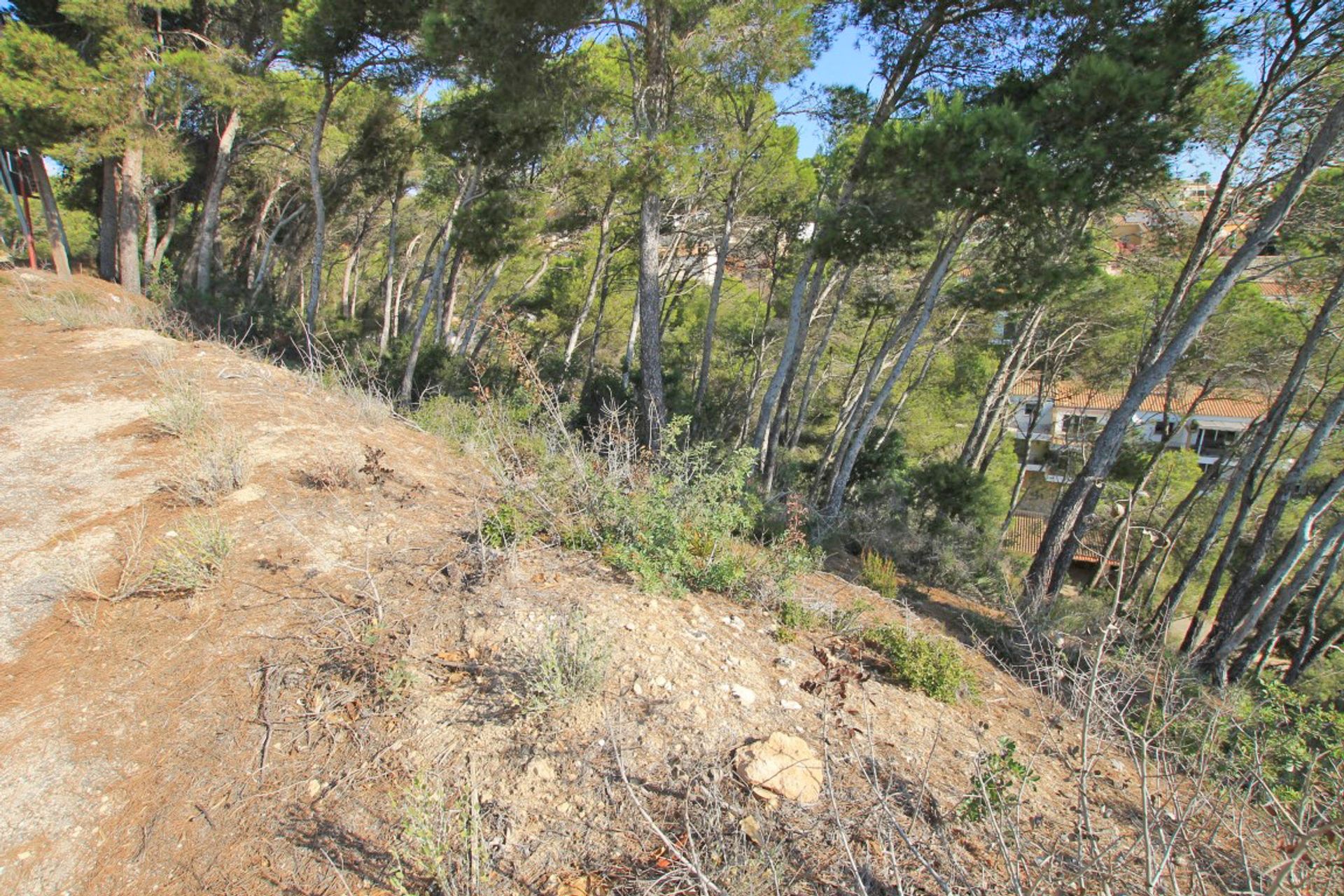 Land in Javea,  10023018