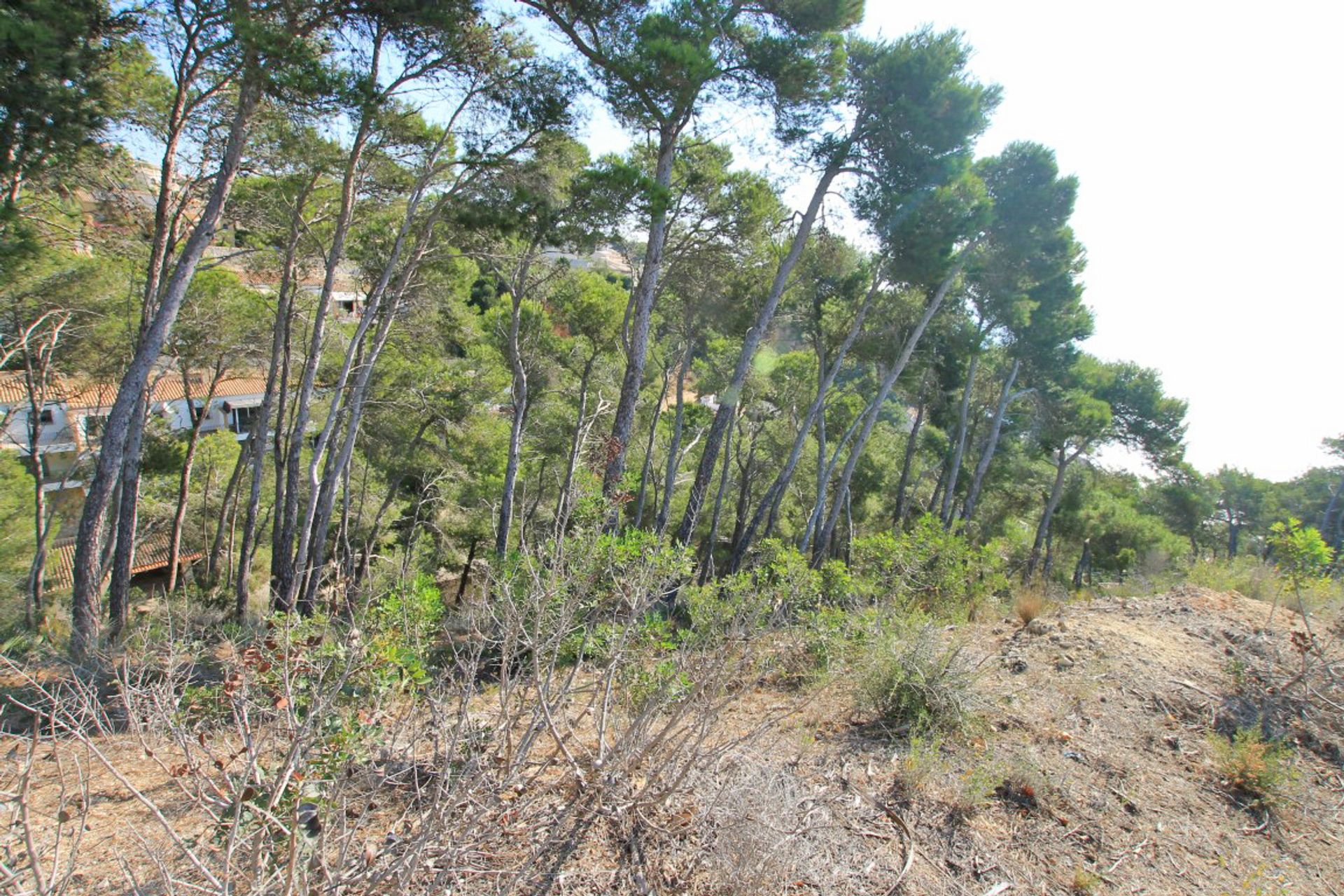 Land in Javea,  10023018