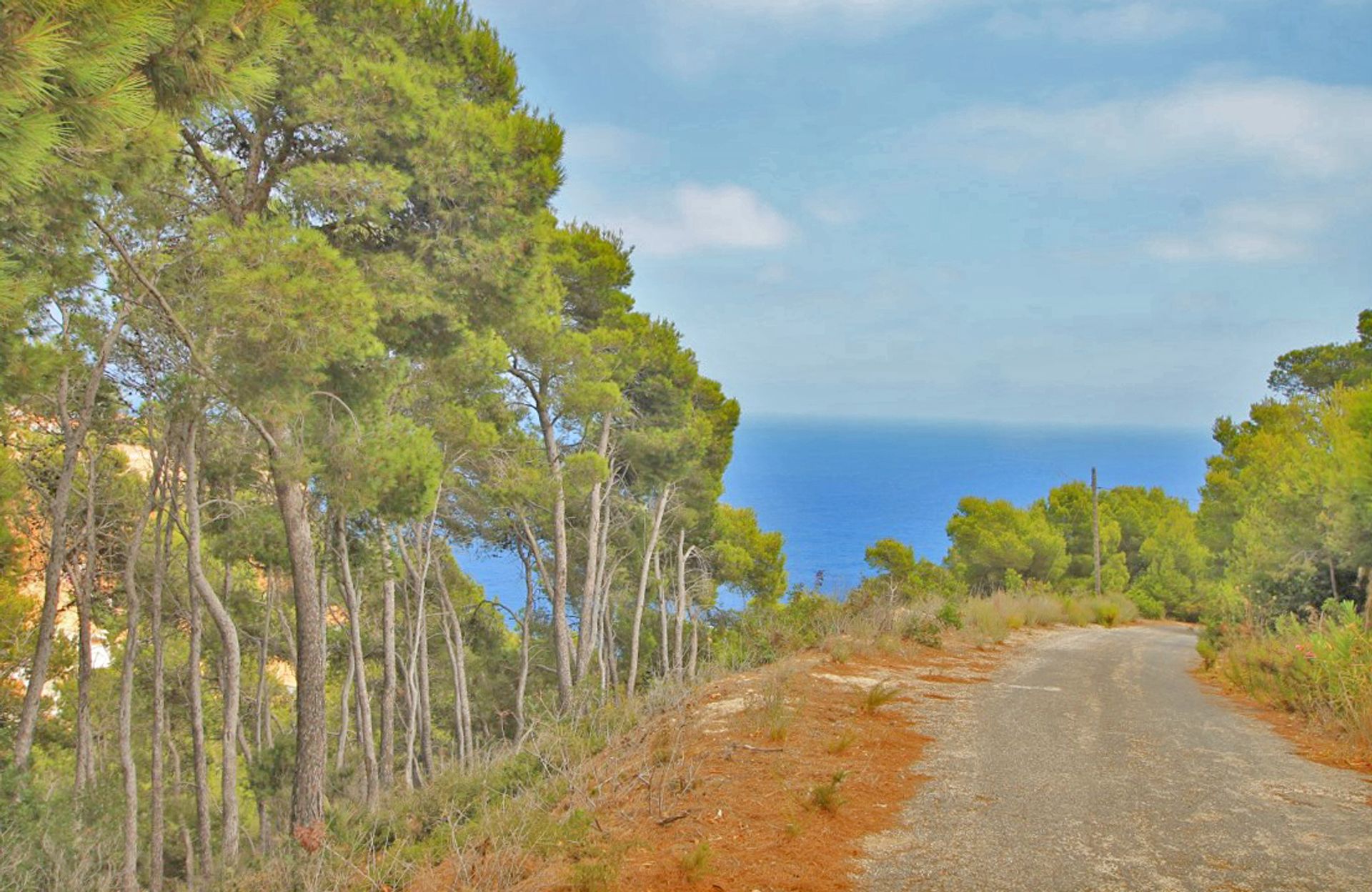 Land in Javea,  10023018