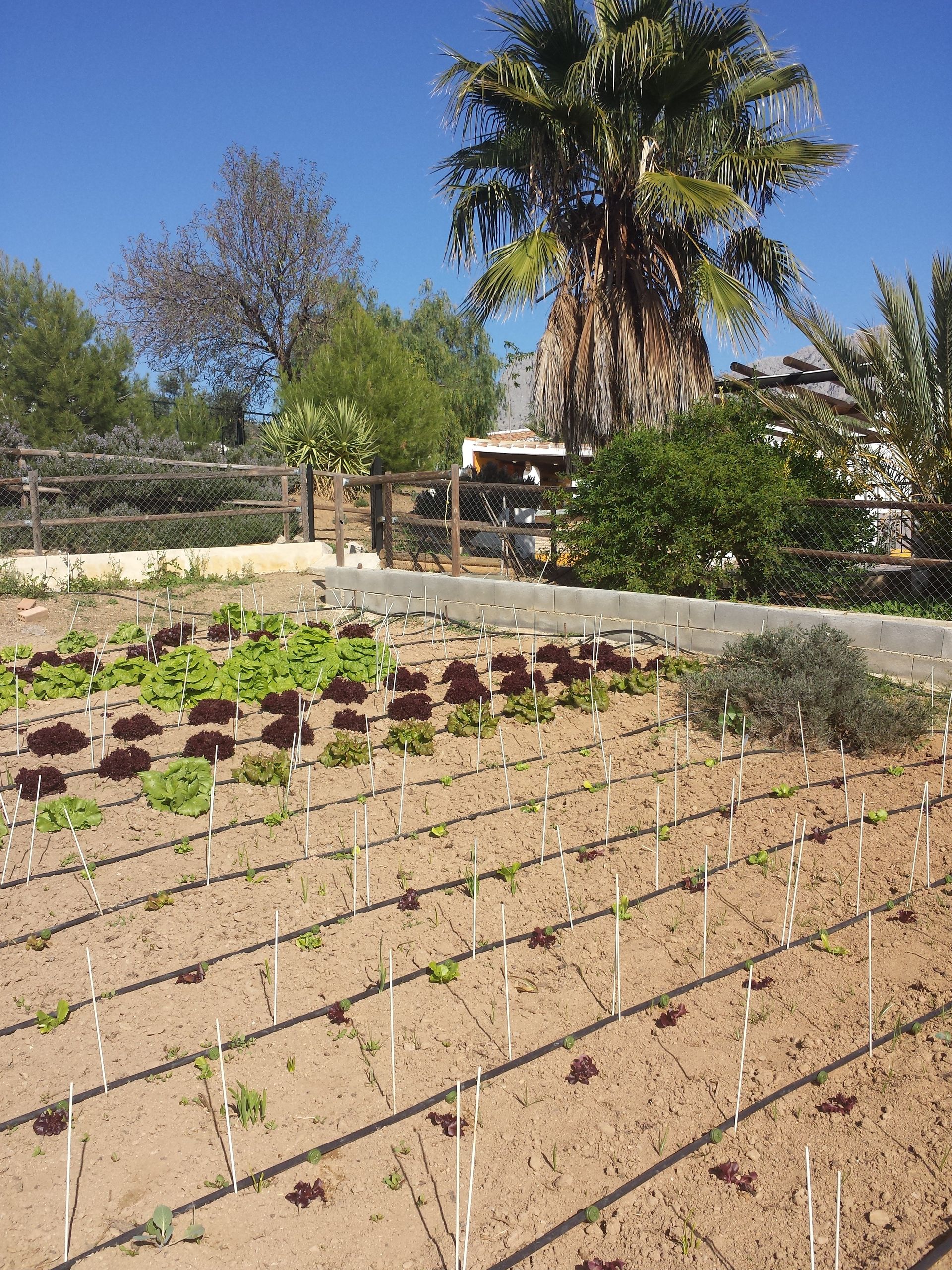 loger dans Riogordo, Malaga 10023024