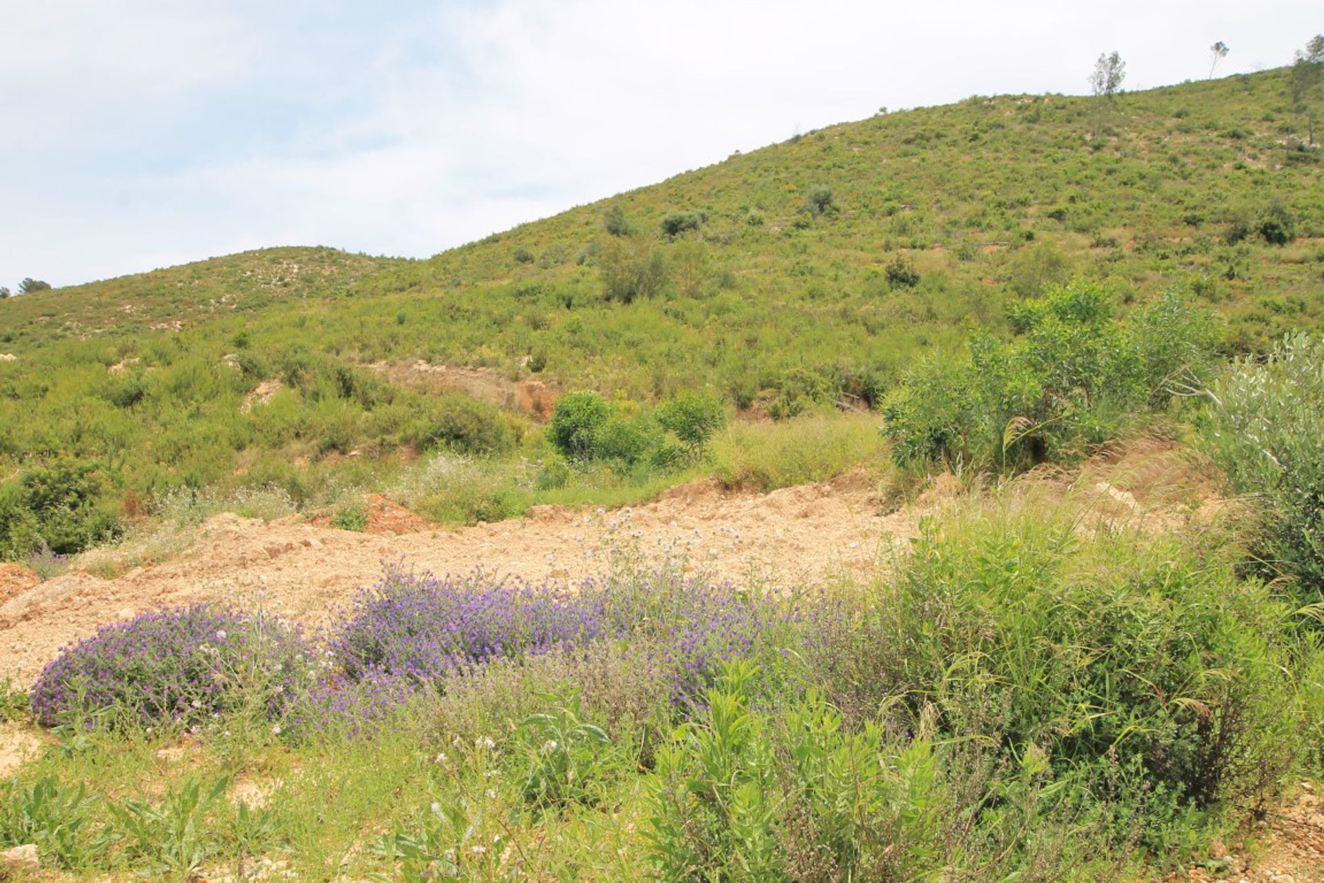 Tierra en Benitachell, Valencia 10023042