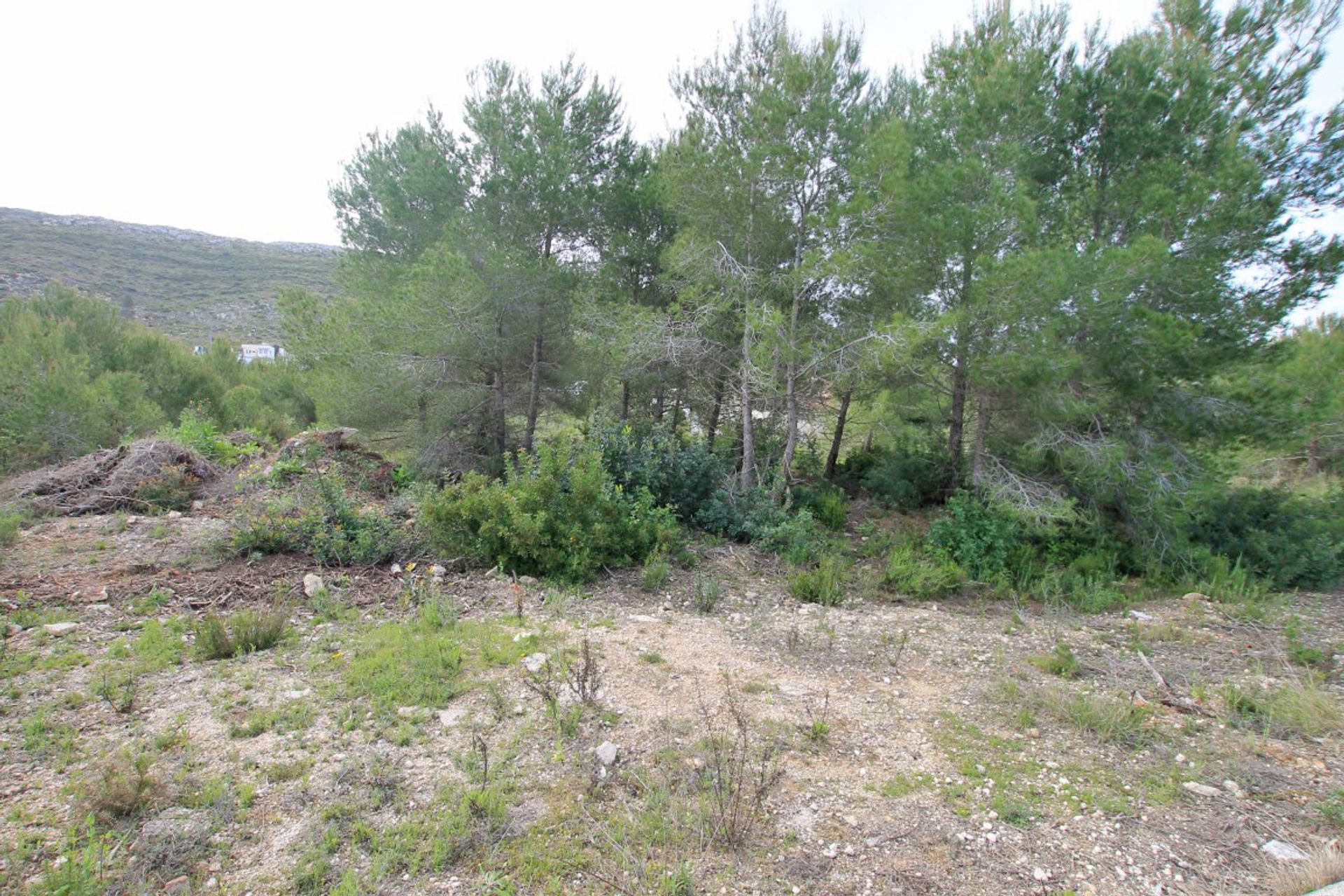 Land in Benitachell, Valencia 10023057