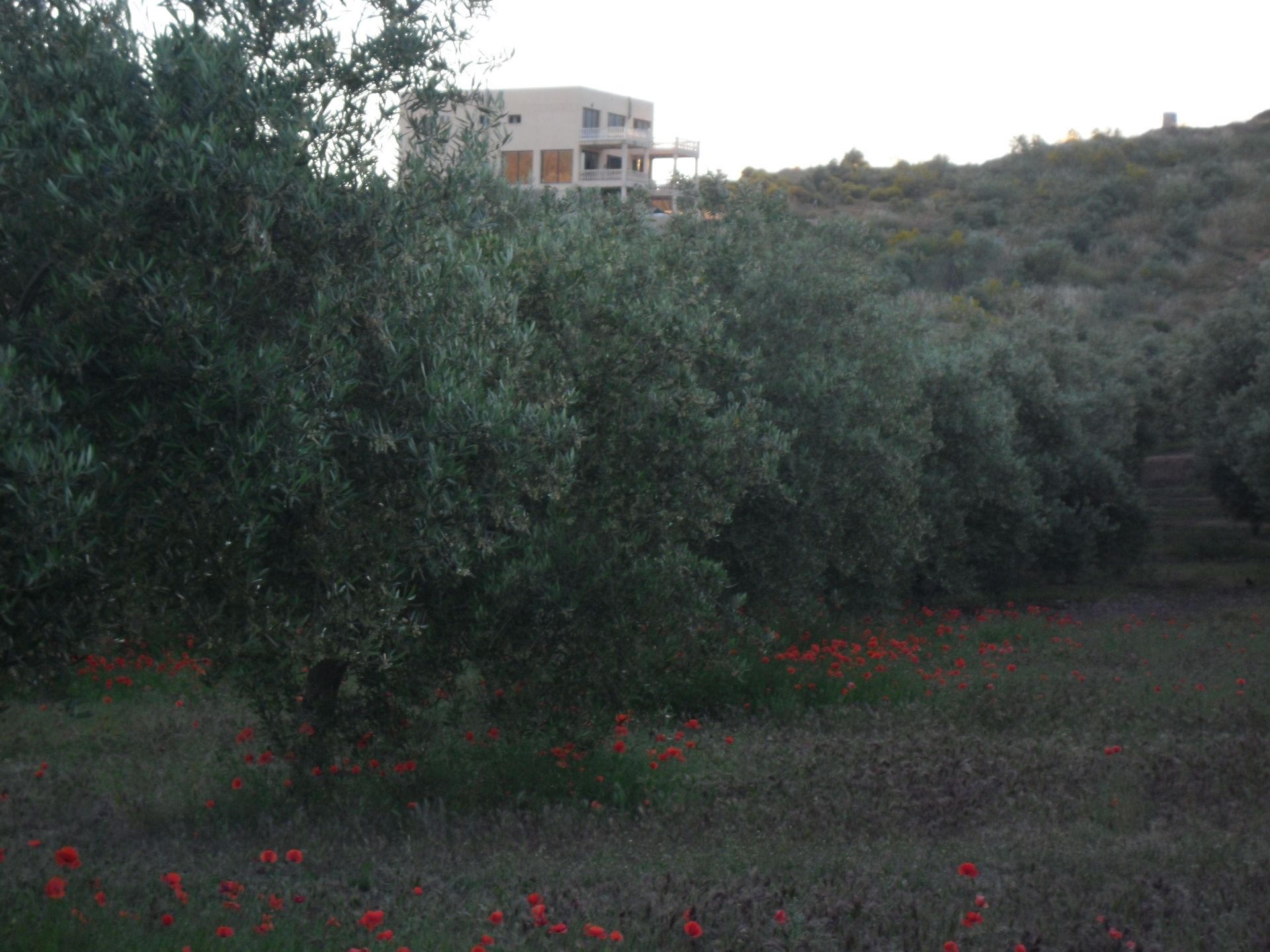 rumah dalam Loja, Granada 10023083