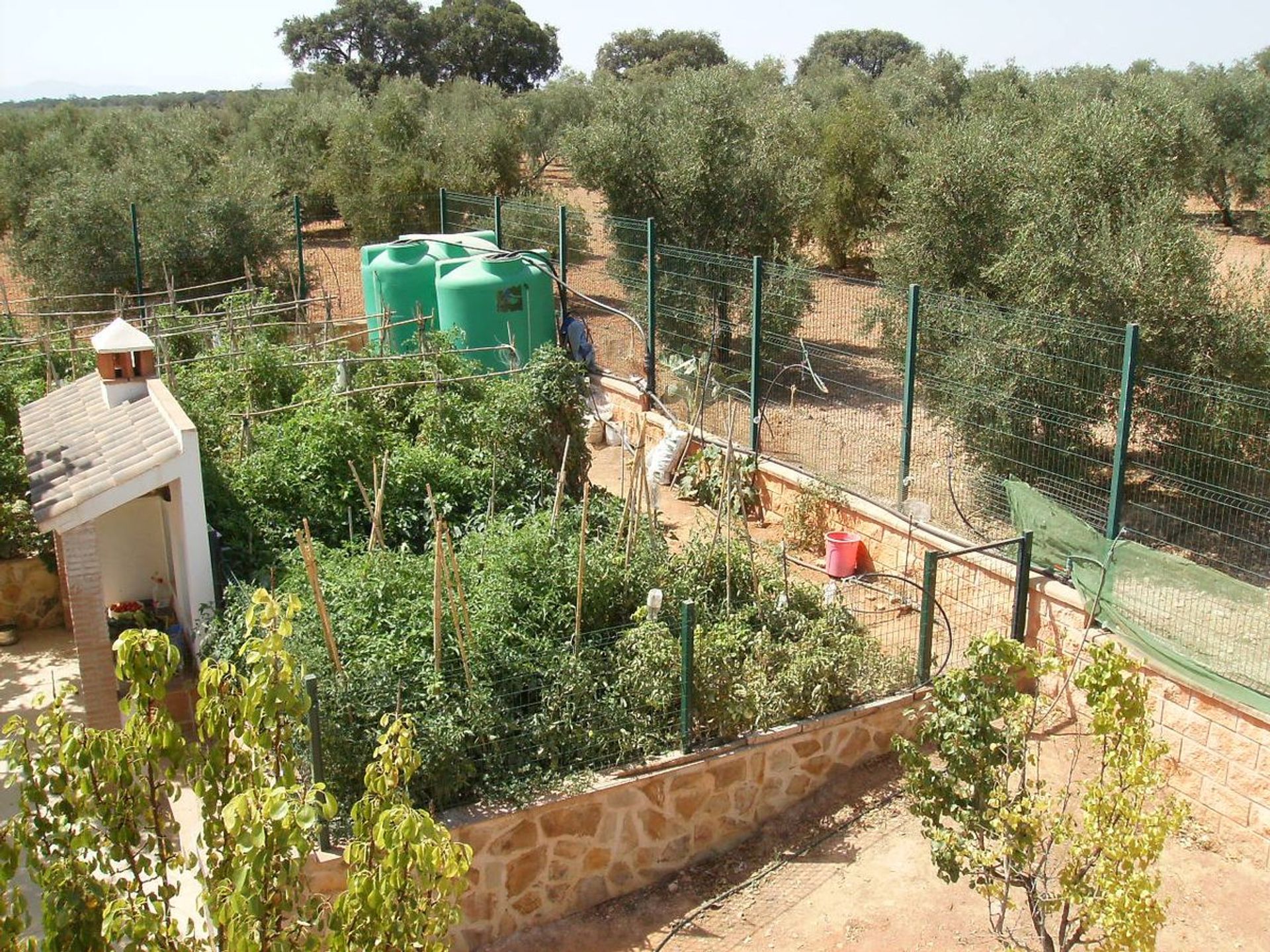 House in Villanueva de Algaidas, Andalusia 10023100