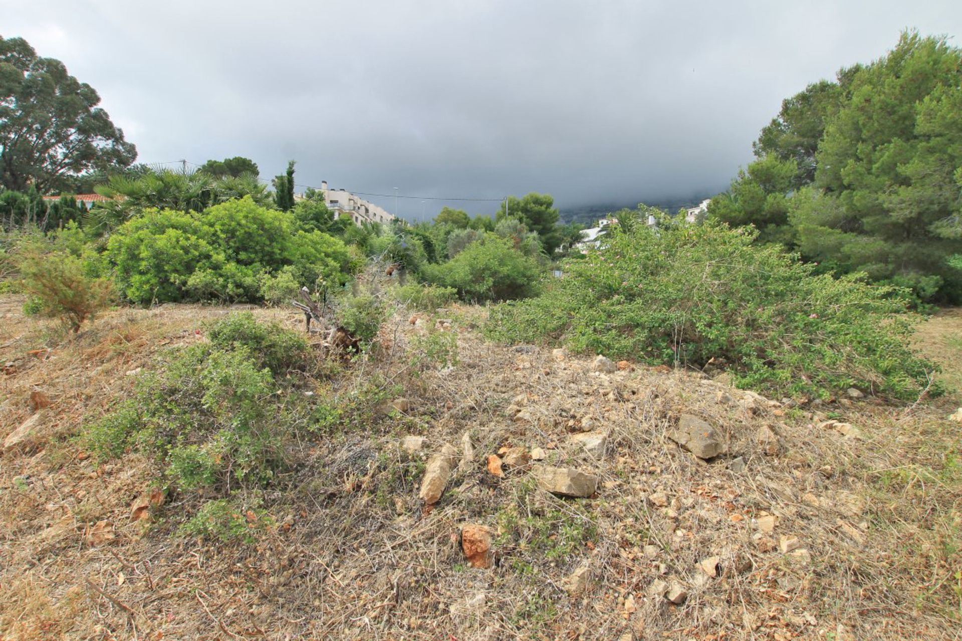 Terra no Denia,  10023141