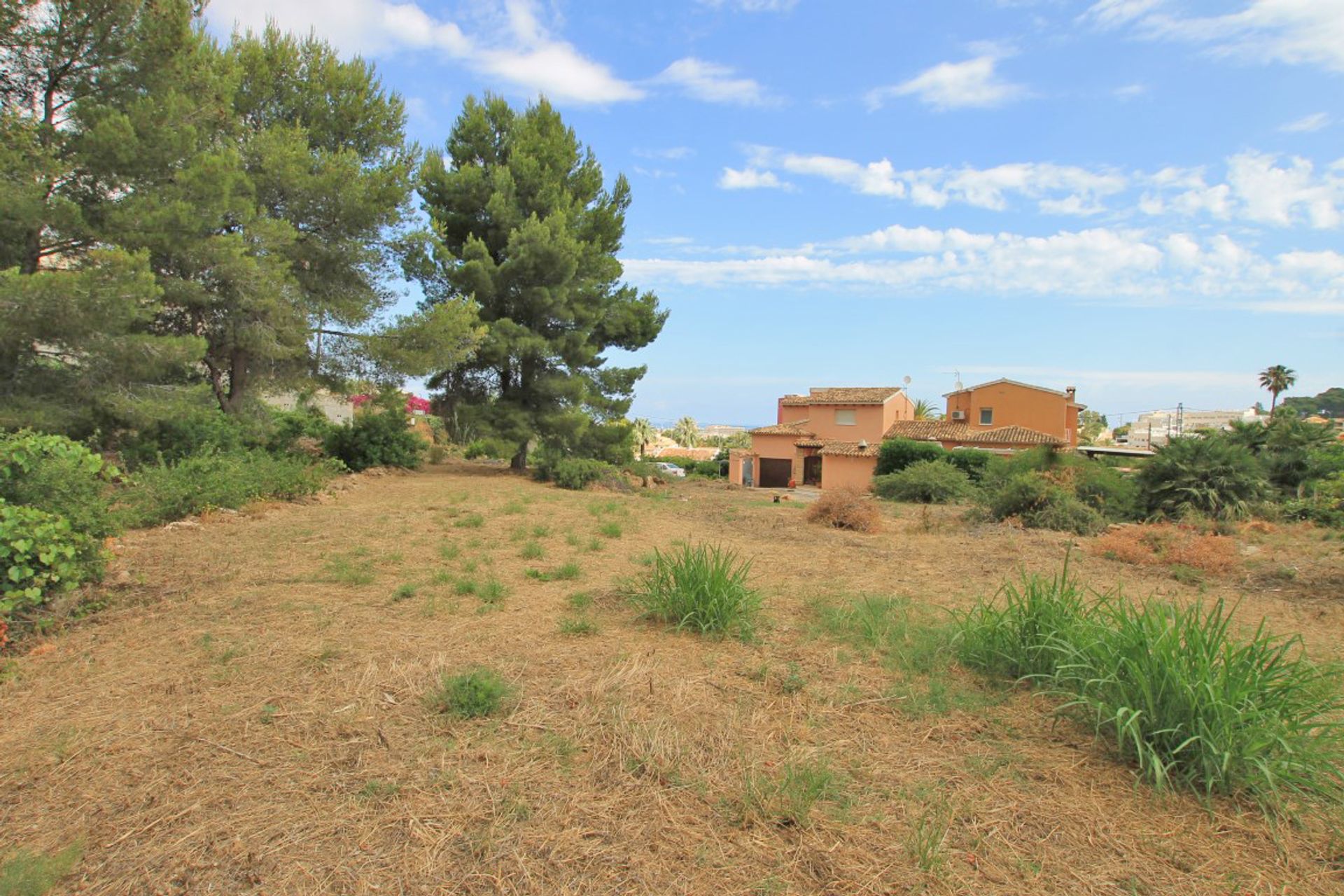 Terre dans Réel, Valence 10023141