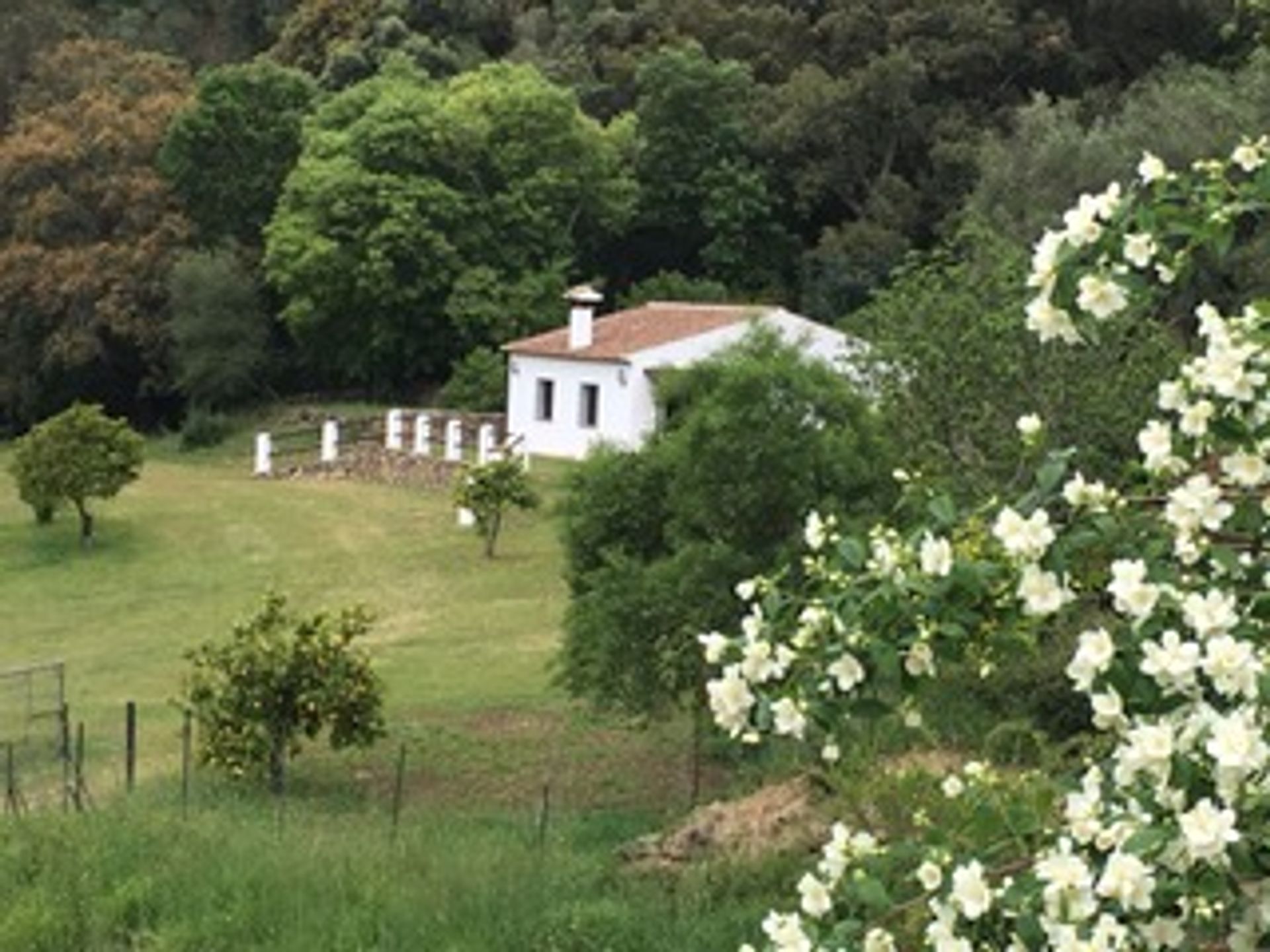 Huis in Ronda, Malaga 10023151