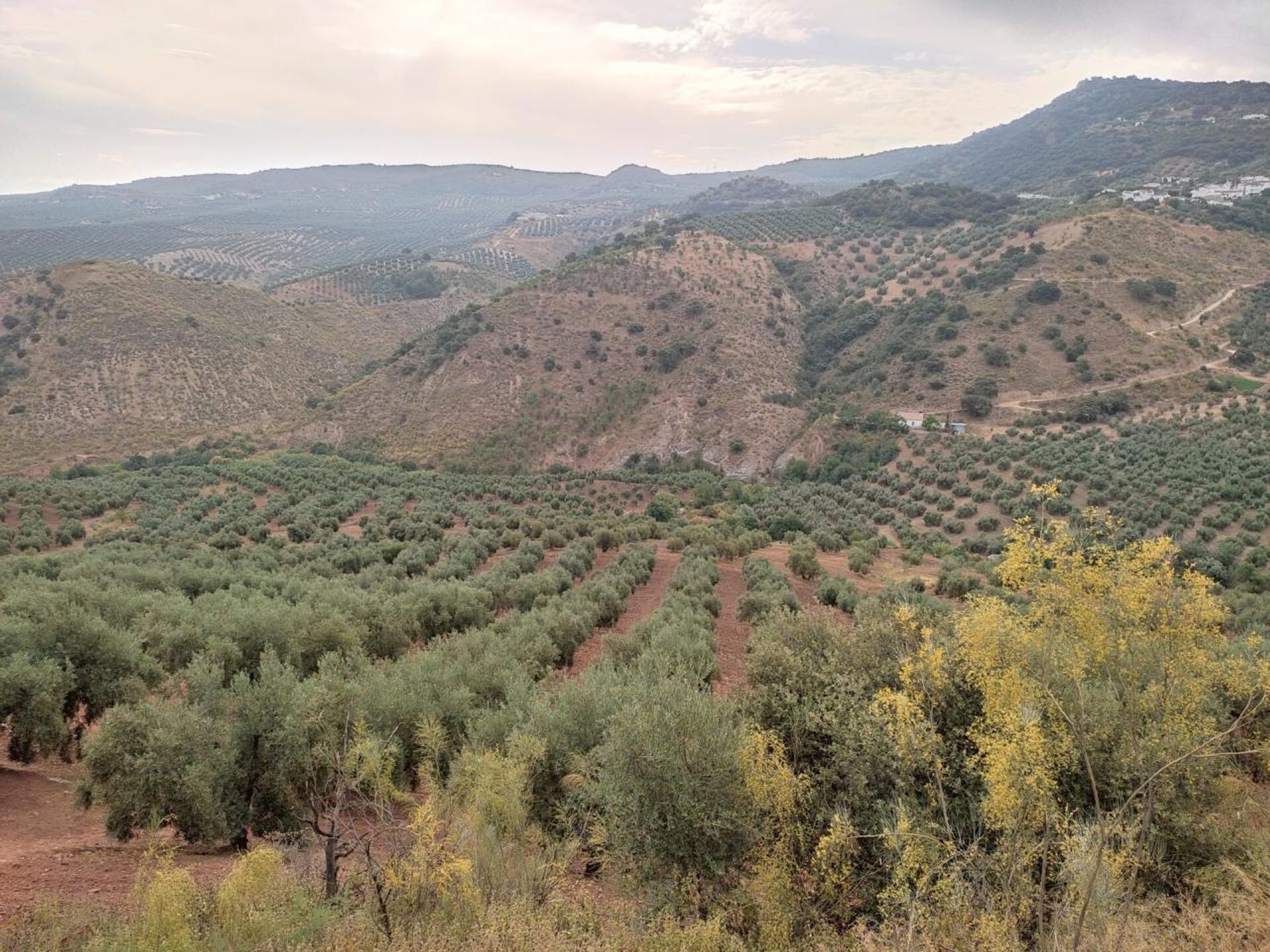 房子 在 Villanueva de Tapia, Andalusia 10023173