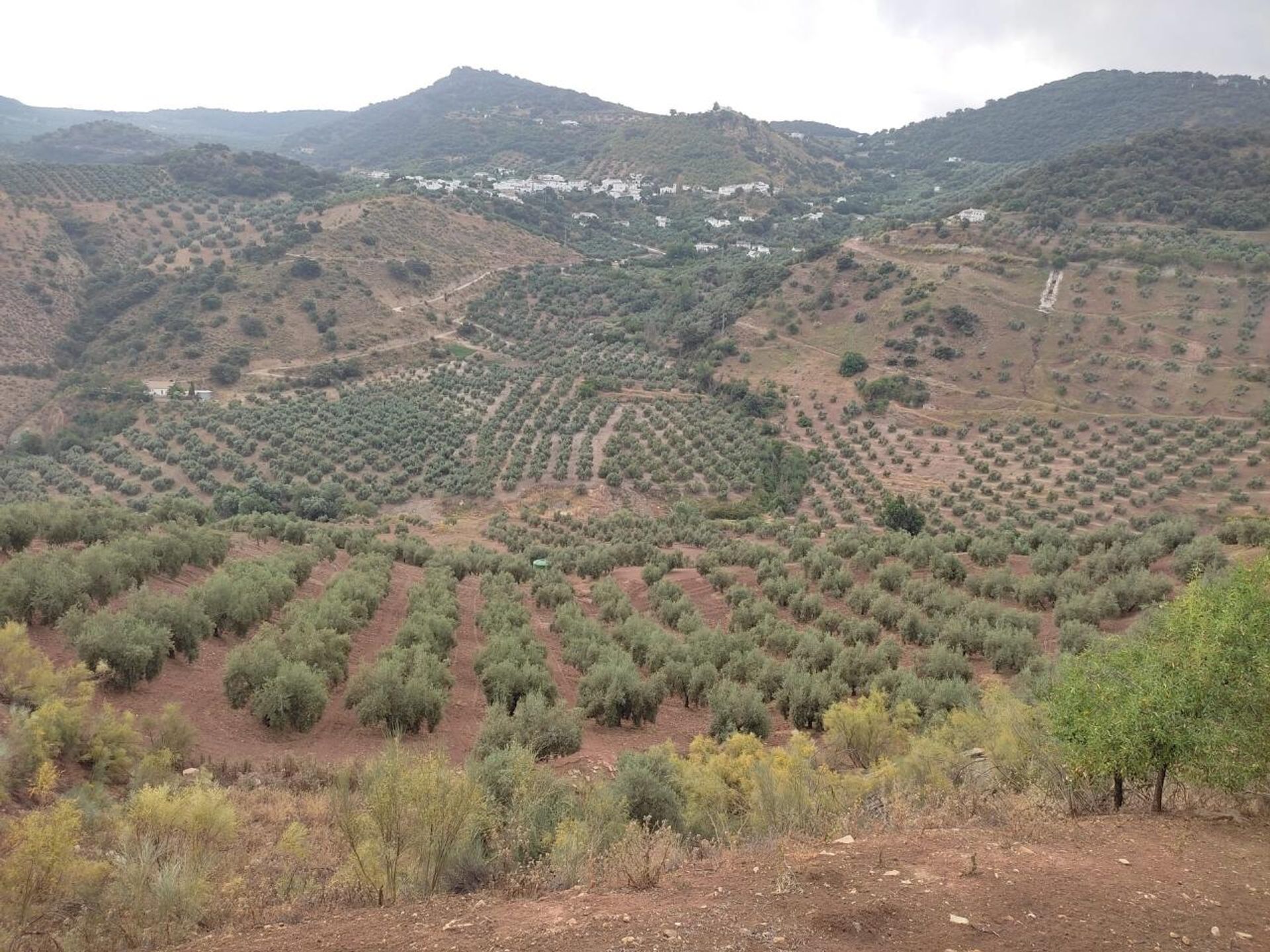 房子 在 Villanueva de Tapia, Andalusia 10023173