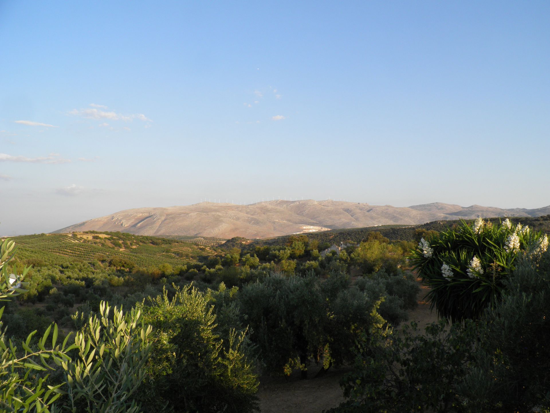 Talo sisään Loja, Granada Antigua Tahona Dehesa De Los Montes 10023175