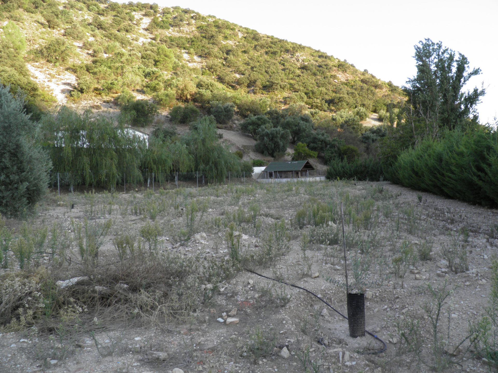 House in Loja, Andalusia 10023186