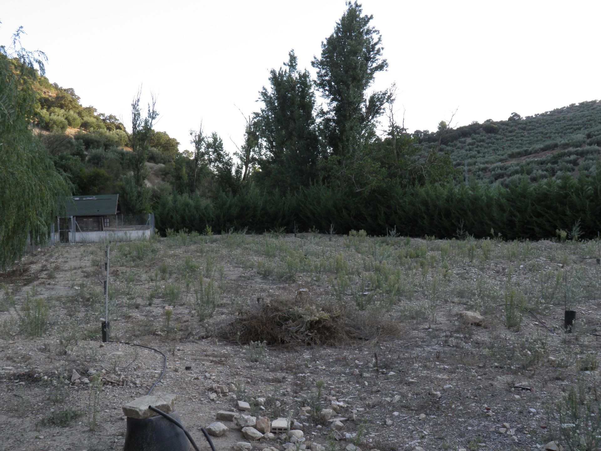 House in Loja, Andalusia 10023186