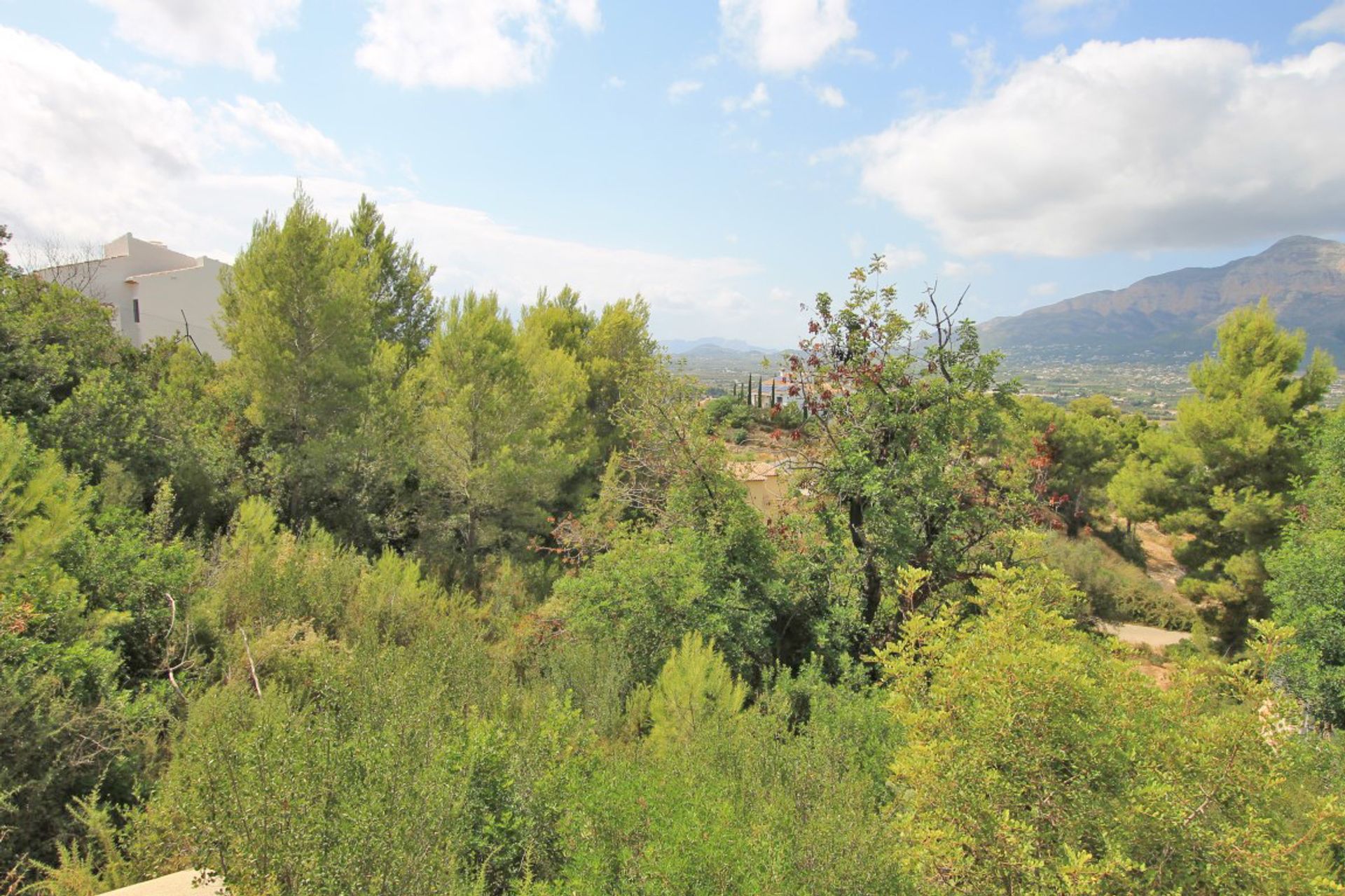 Land in Javea,  10023231