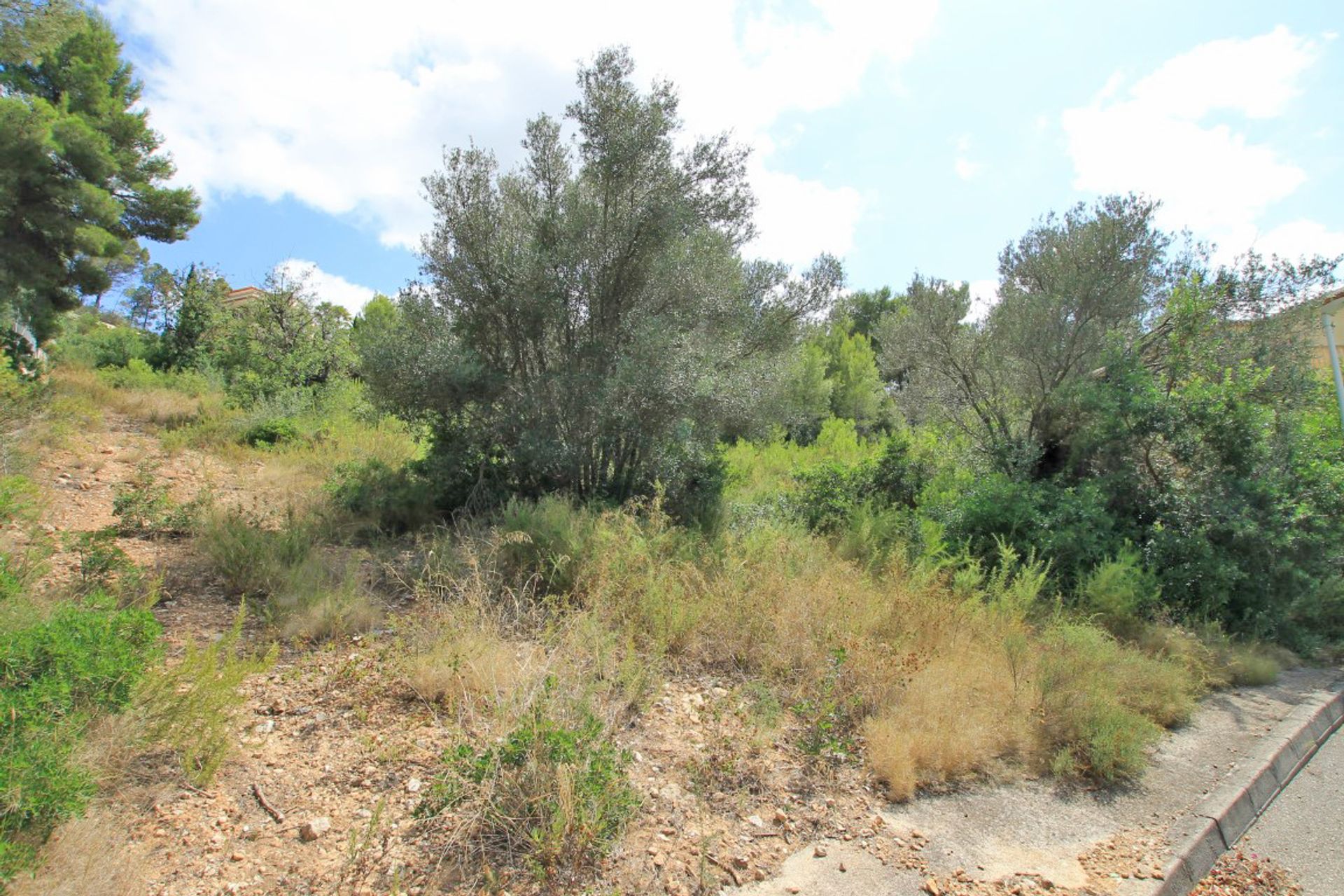 Land in Javea, Valencia 10023231