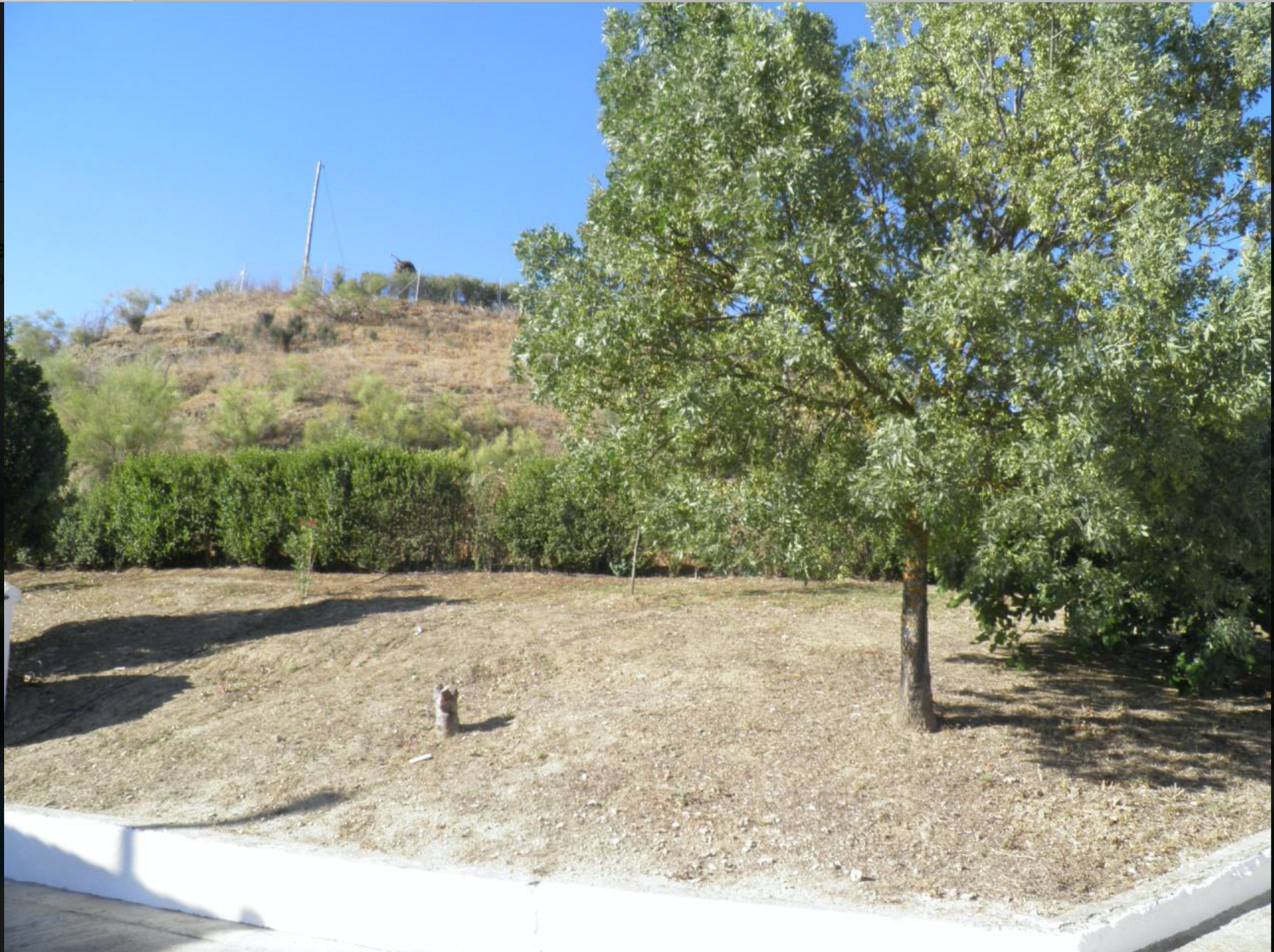 House in Loja, Andalusia 10023241