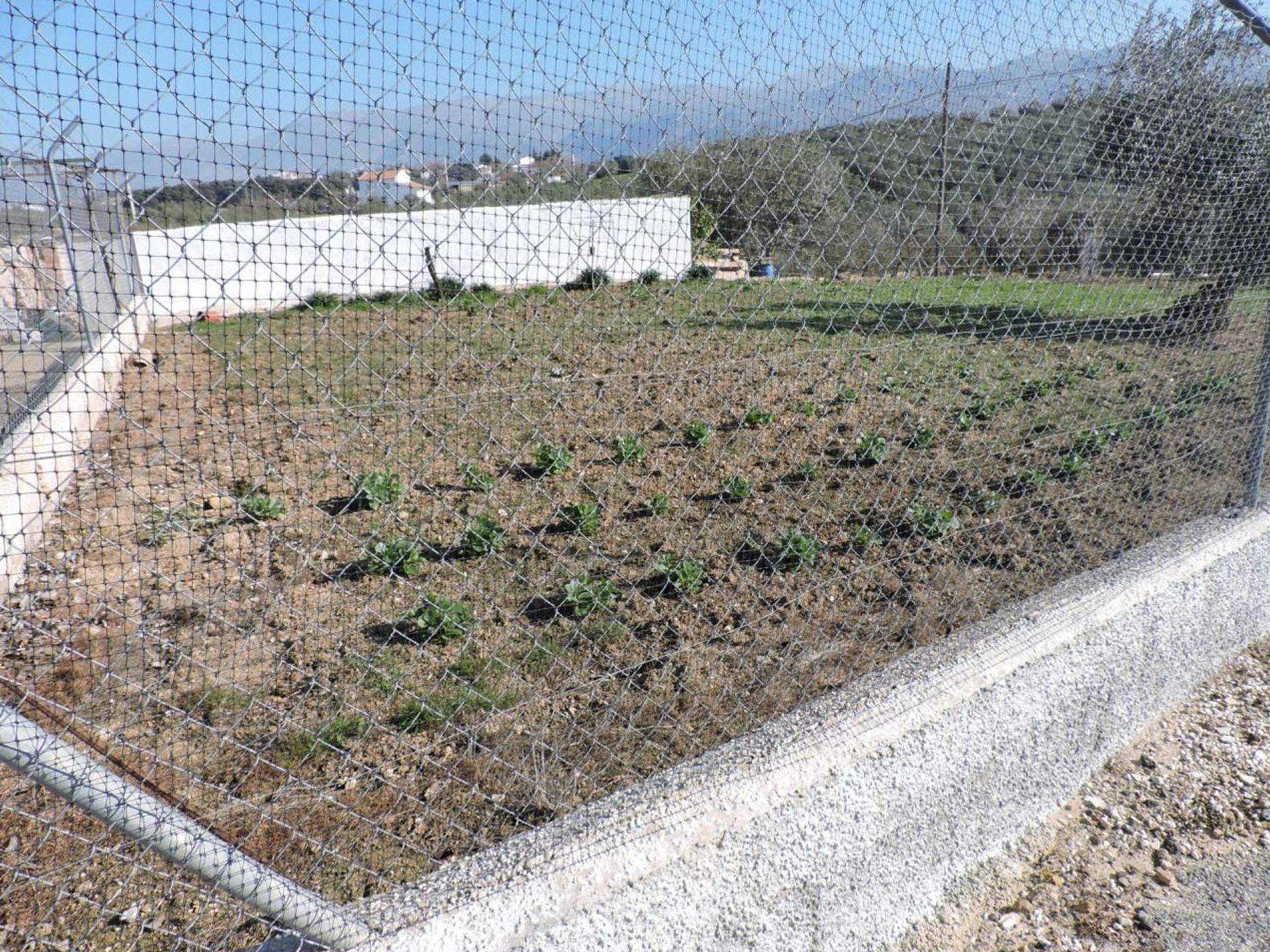 Huis in Fuente Camacho, Granada 10023357