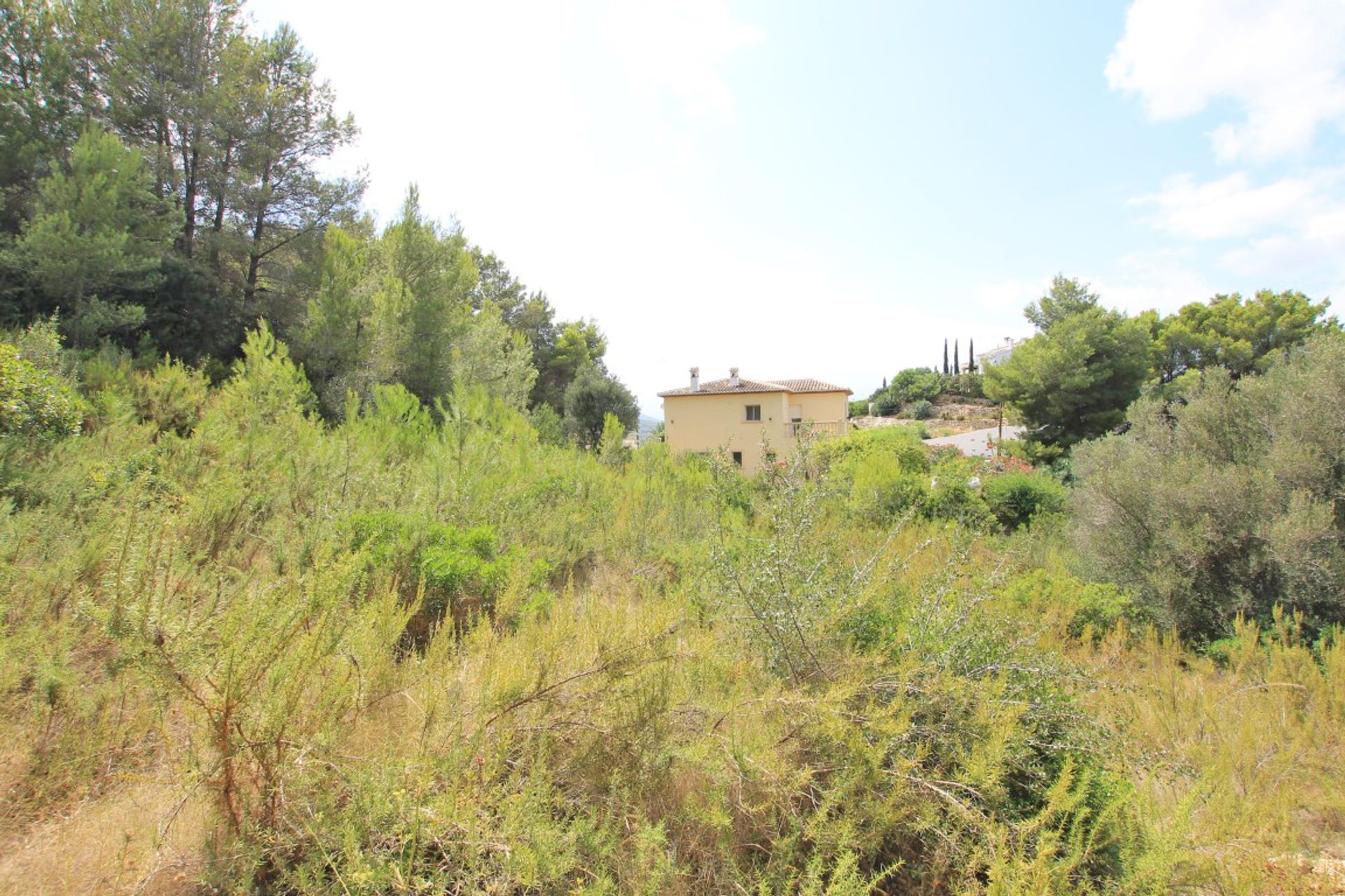 Land in Javea, Valencia 10023409