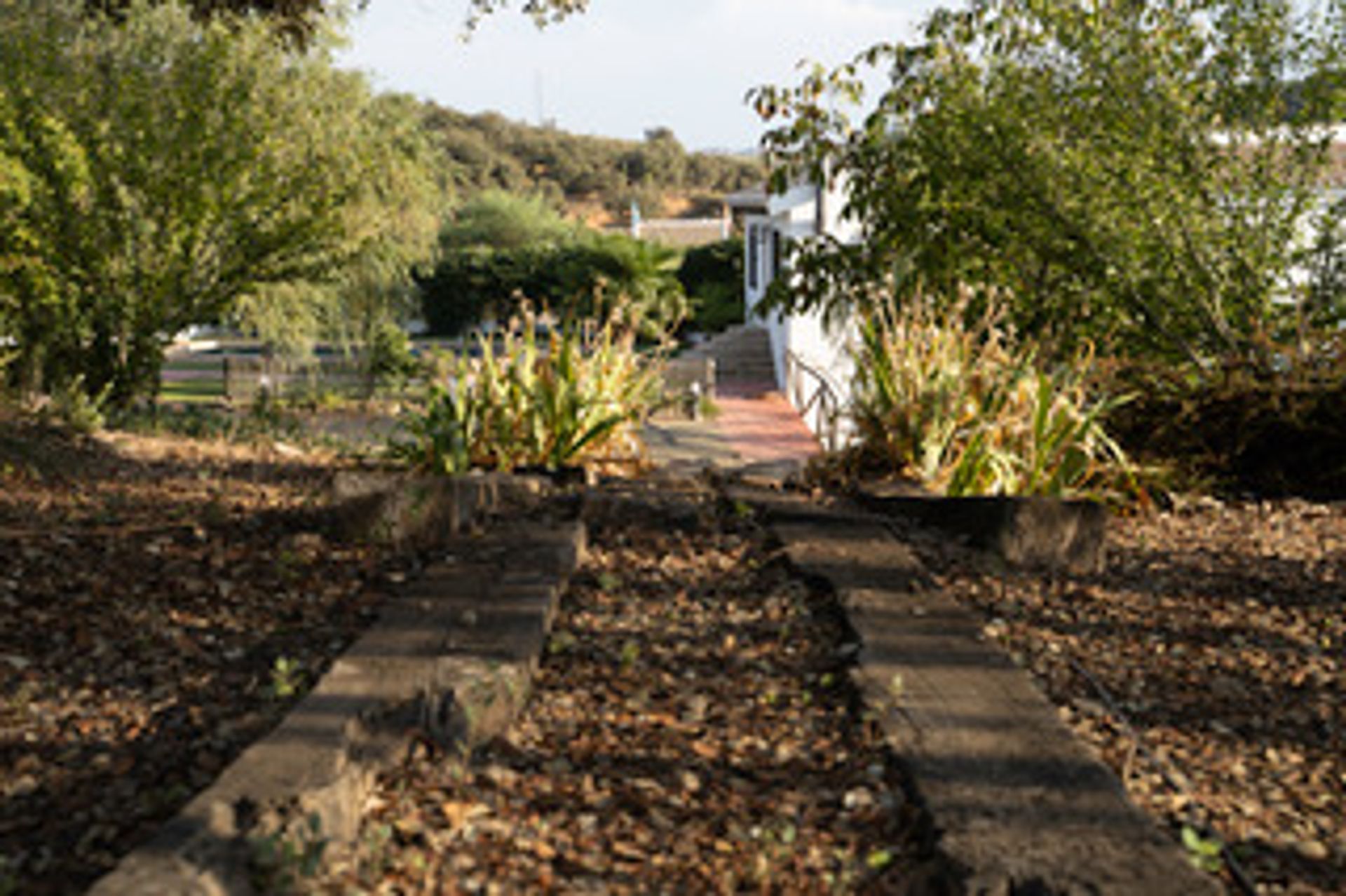 casa no Zagra, Andalusia 10023410