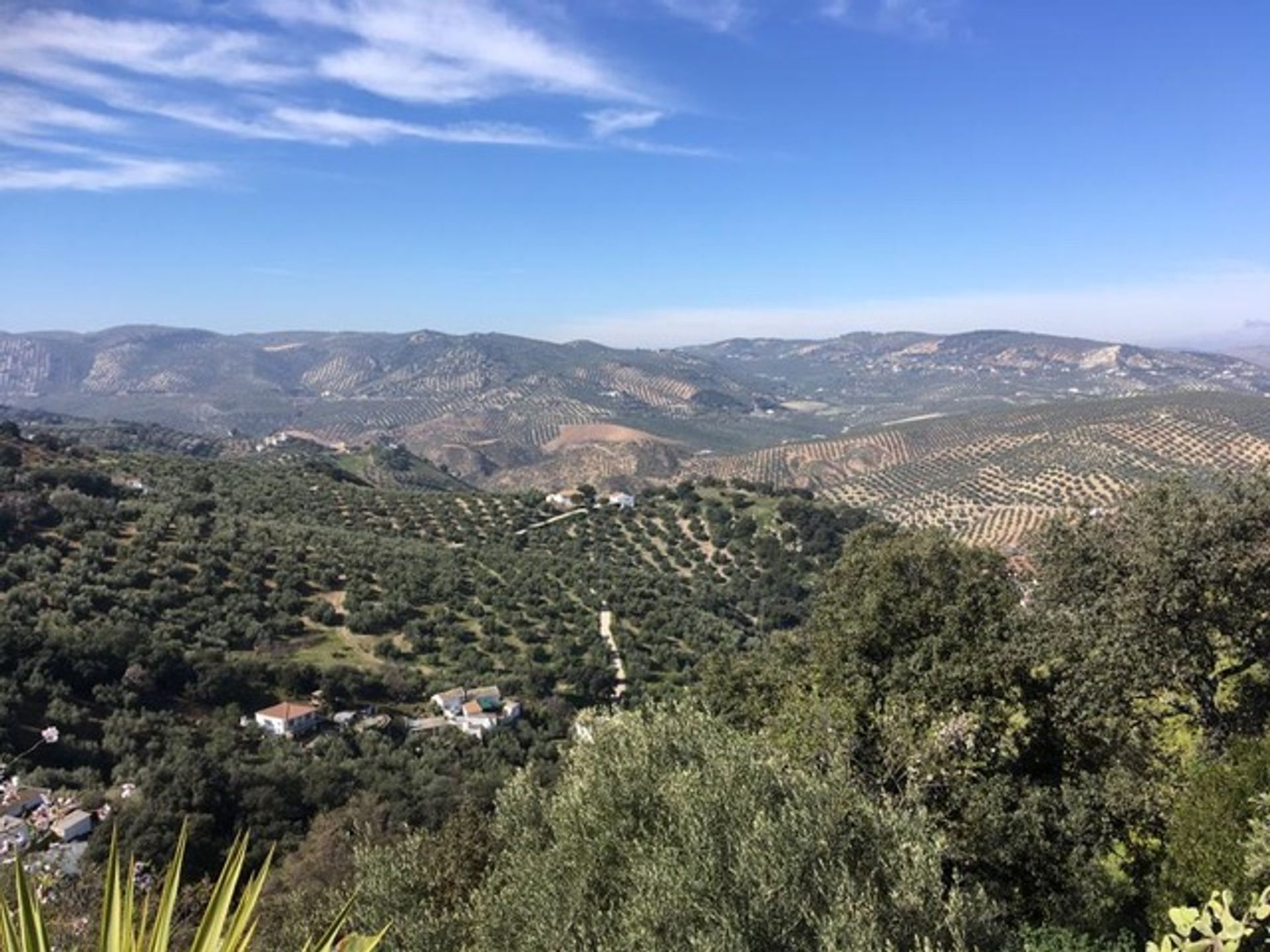 房子 在 Villanueva de Tapia, Andalusia 10023502