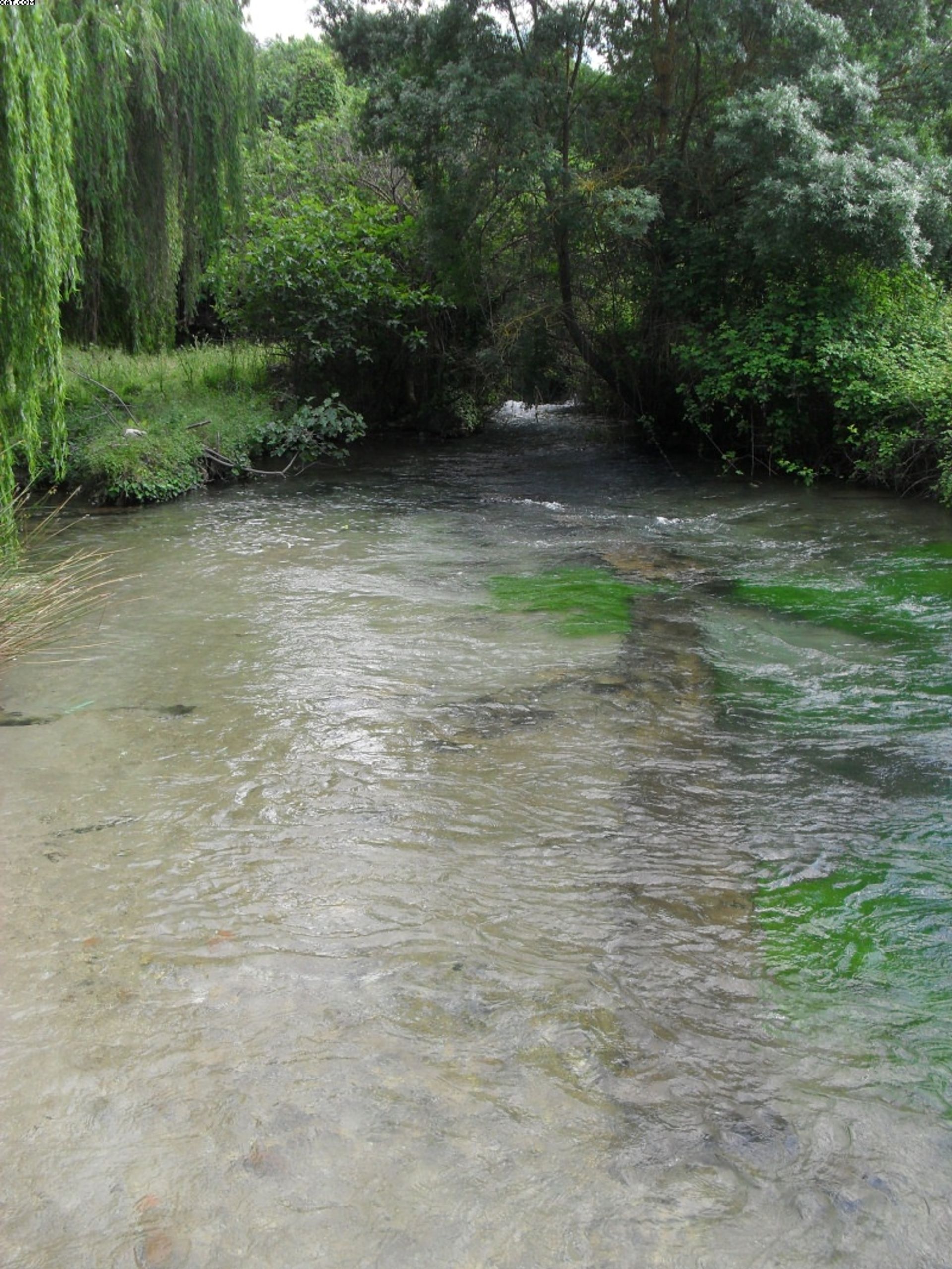 σπίτι σε Riofrio, Granada 10023603