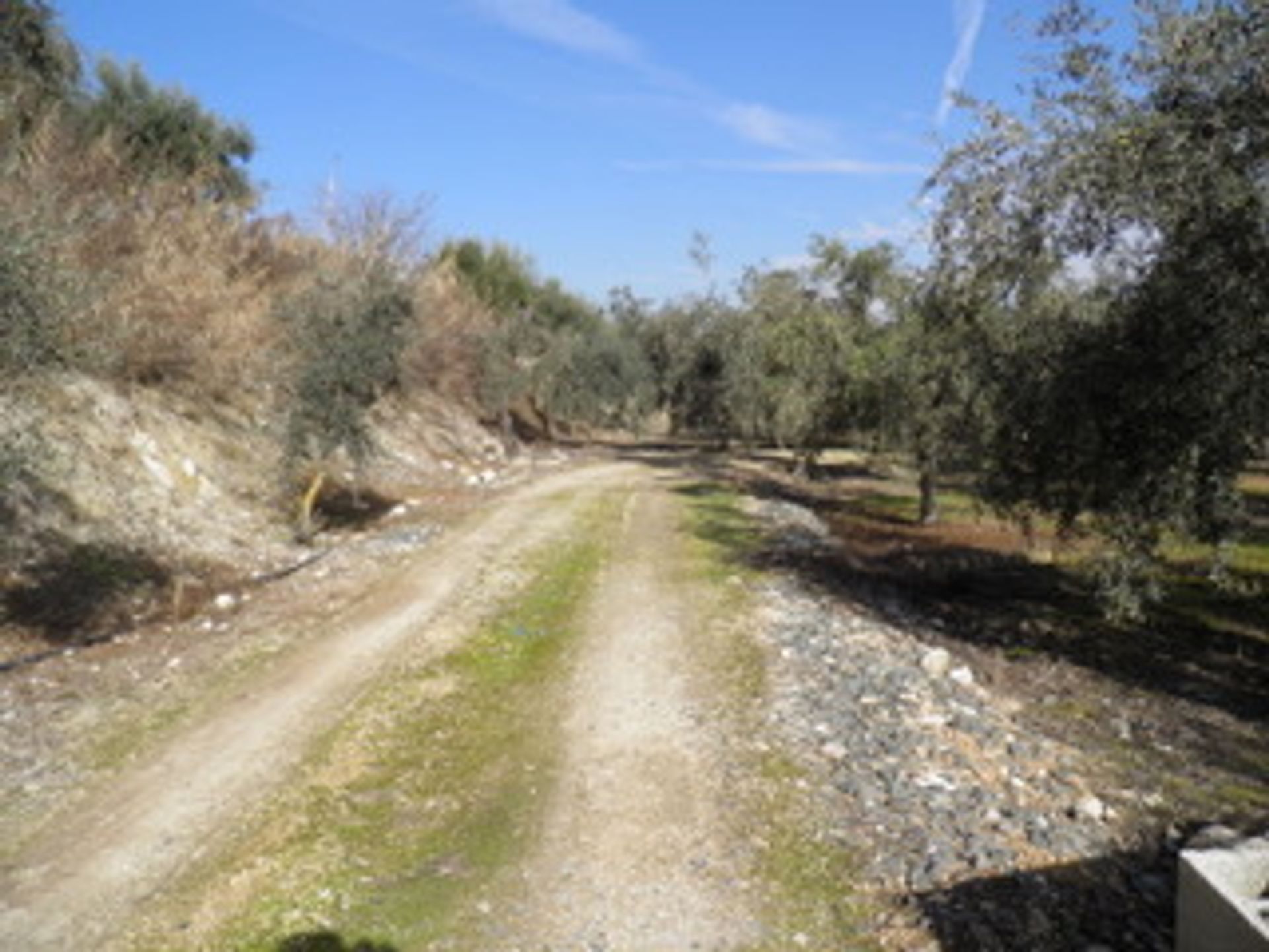 casa en Salar, Andalusia 10023641