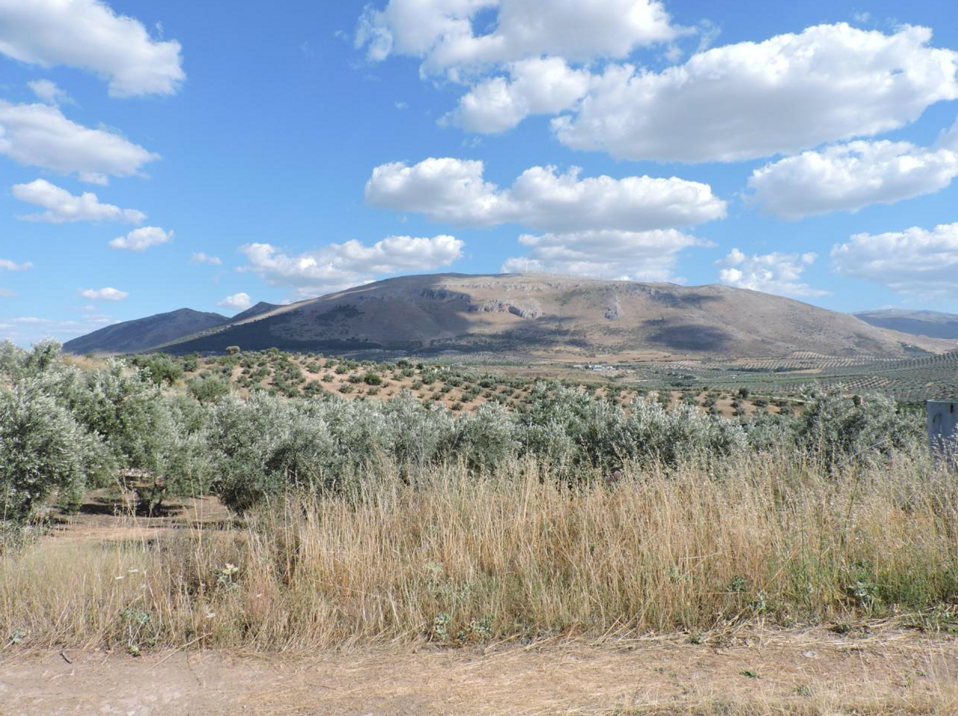 Talo sisään Loja, Andalusia 10023644