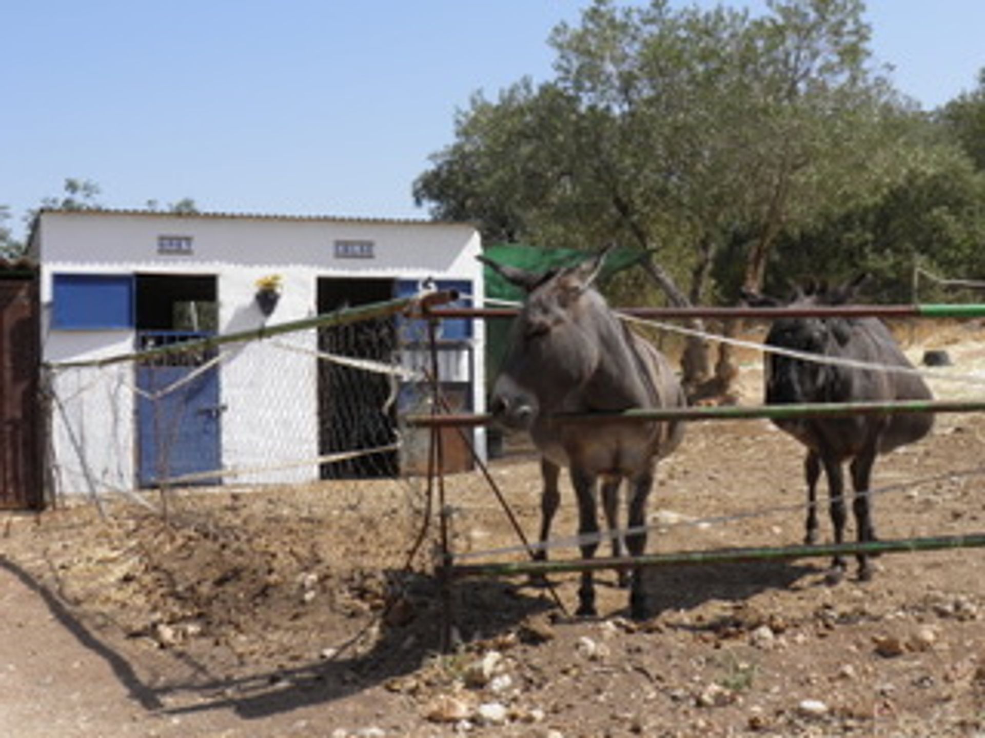 Hus i Zagra, Andalusia 10023722