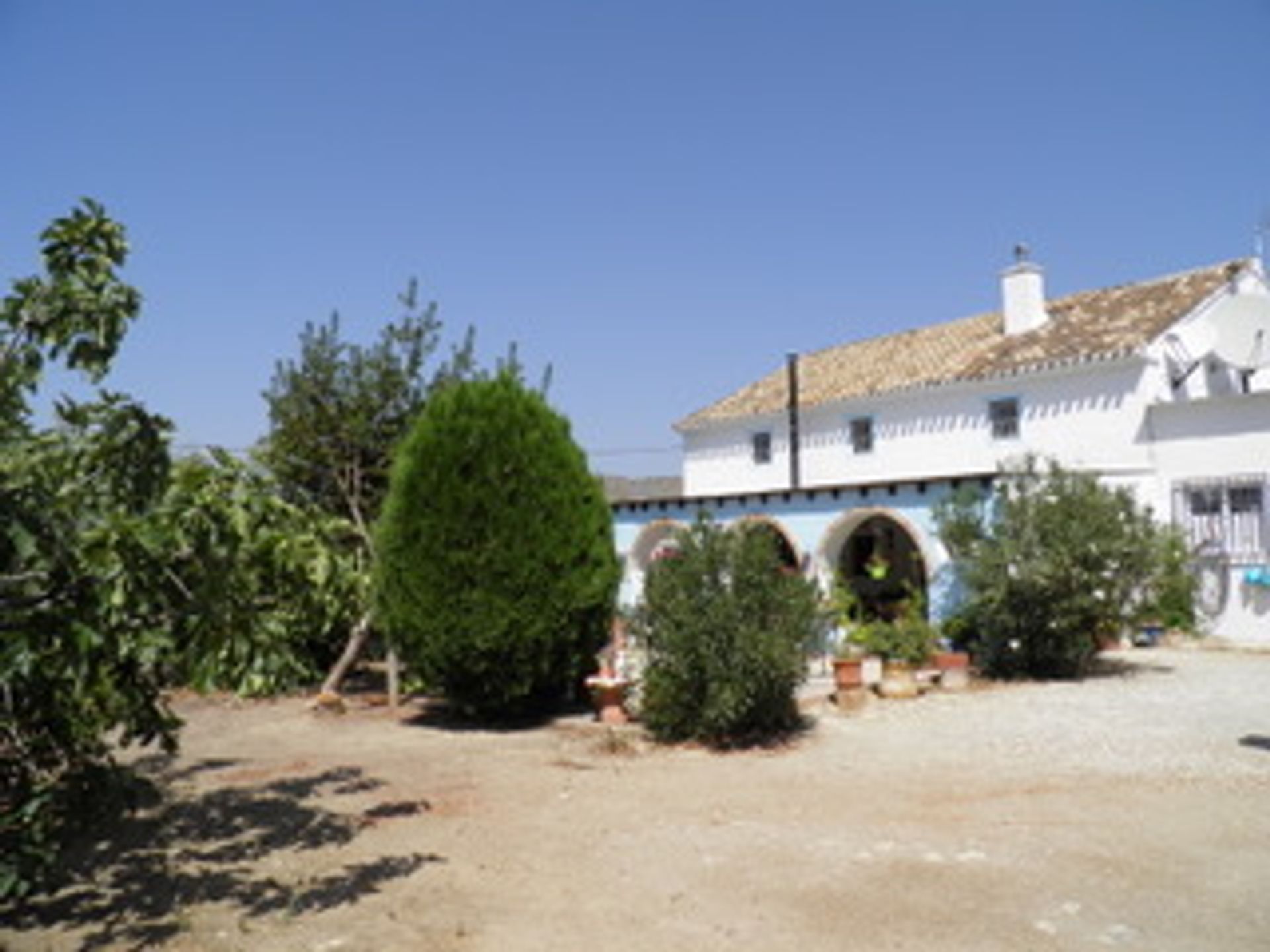 Hus i Zagra, Andalusia 10023722