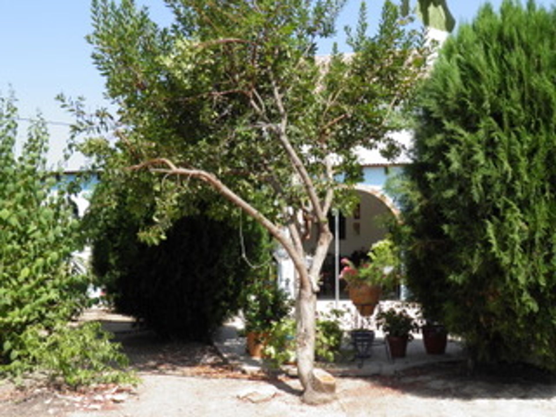 House in Zagra, Andalusia 10023722