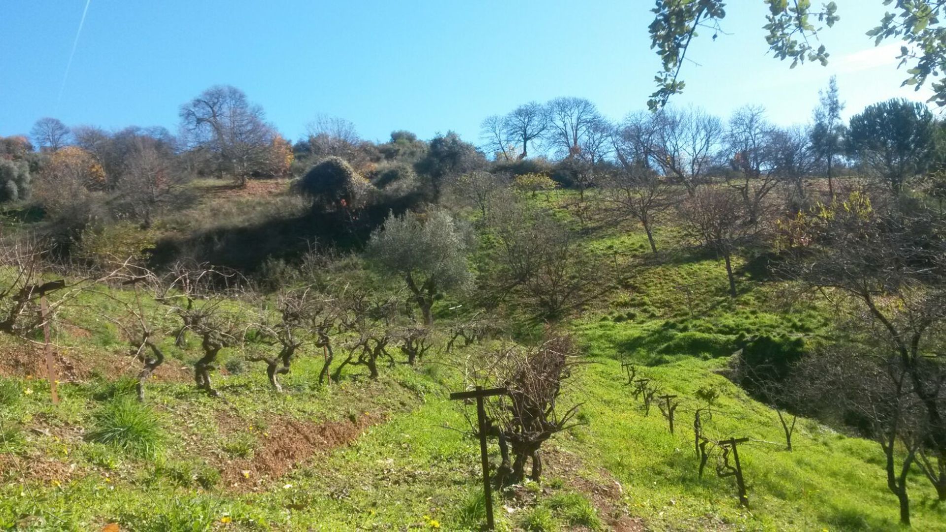 Talo sisään Ronda, Malaga 10023764