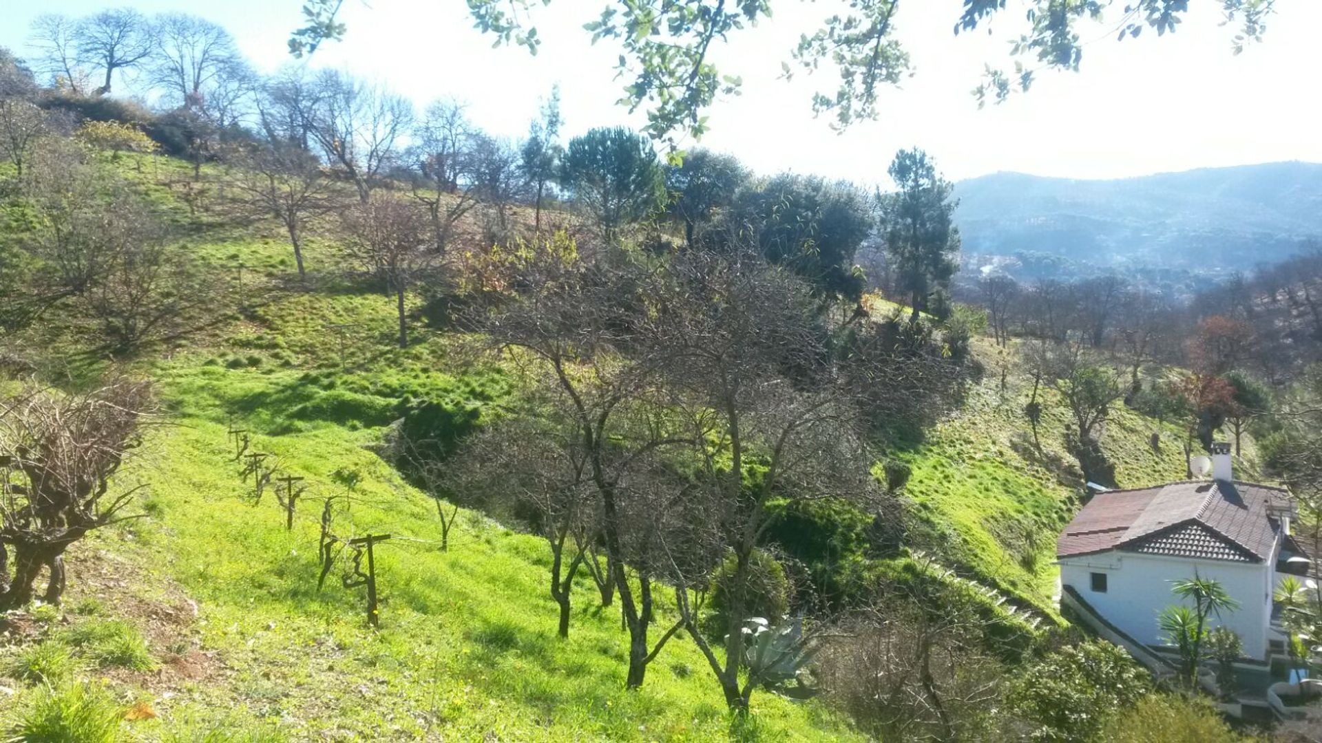 Talo sisään Ronda, Malaga 10023764