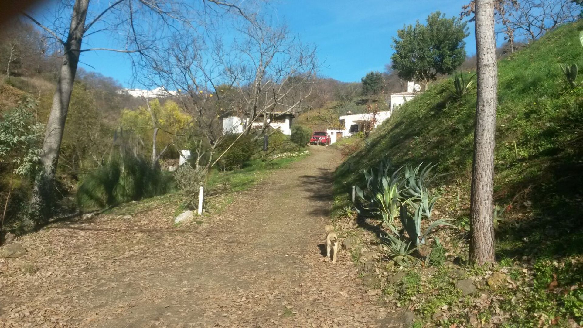 집 에 Ronda, Malaga 10023764