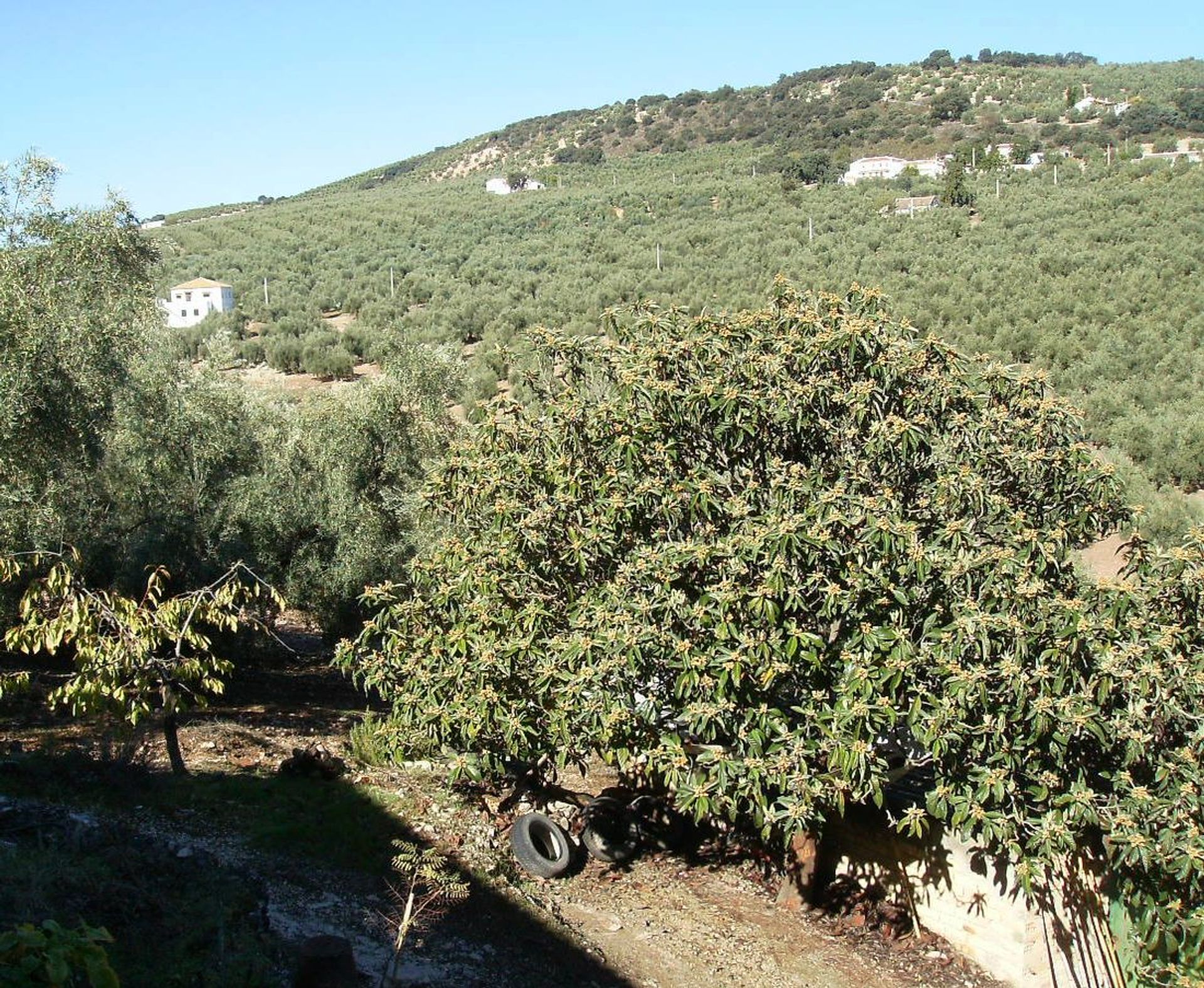 Hus i Iznajar, Andalusia 10023780