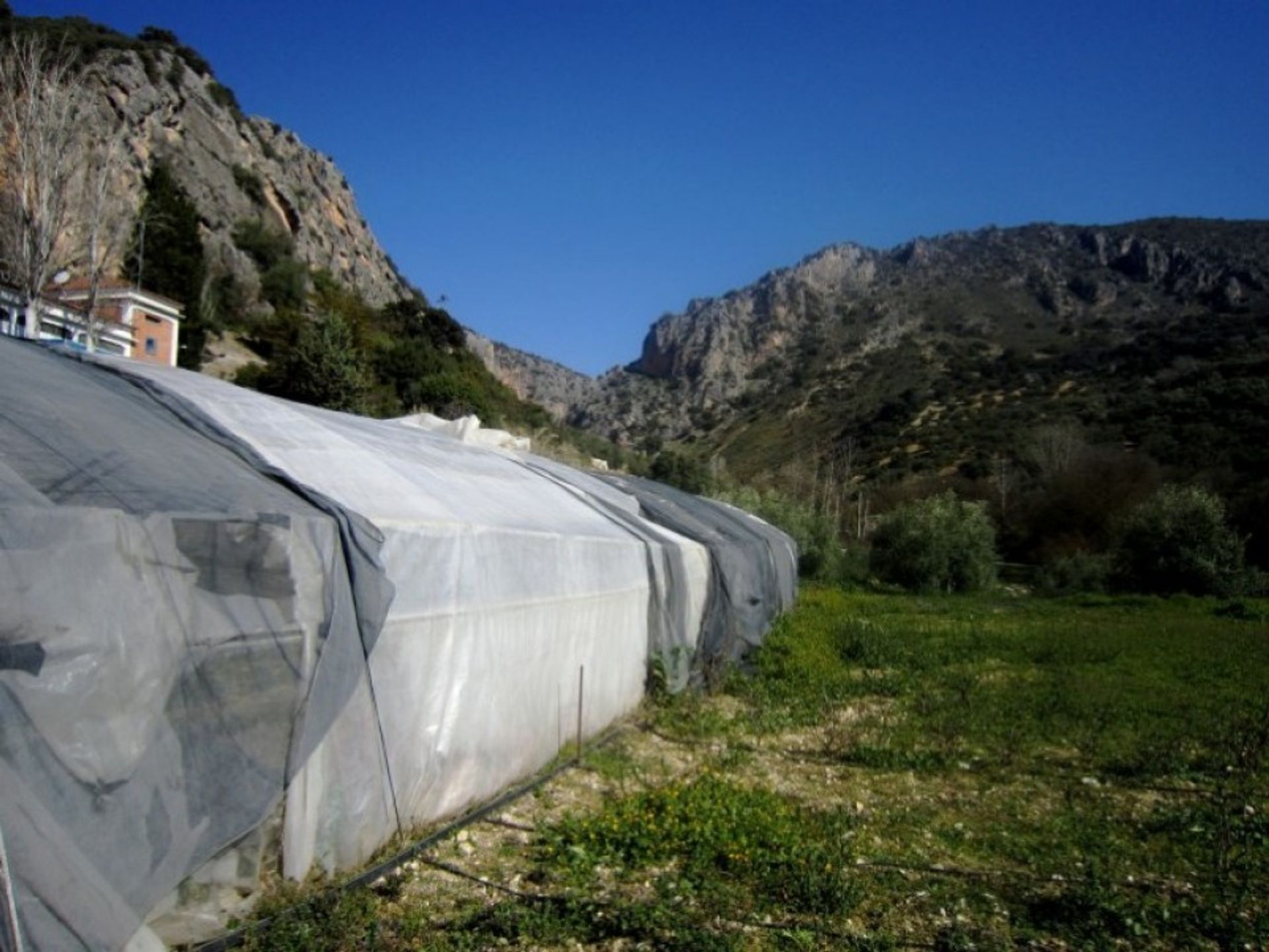 Talo sisään Rute, Andalusia 10023889