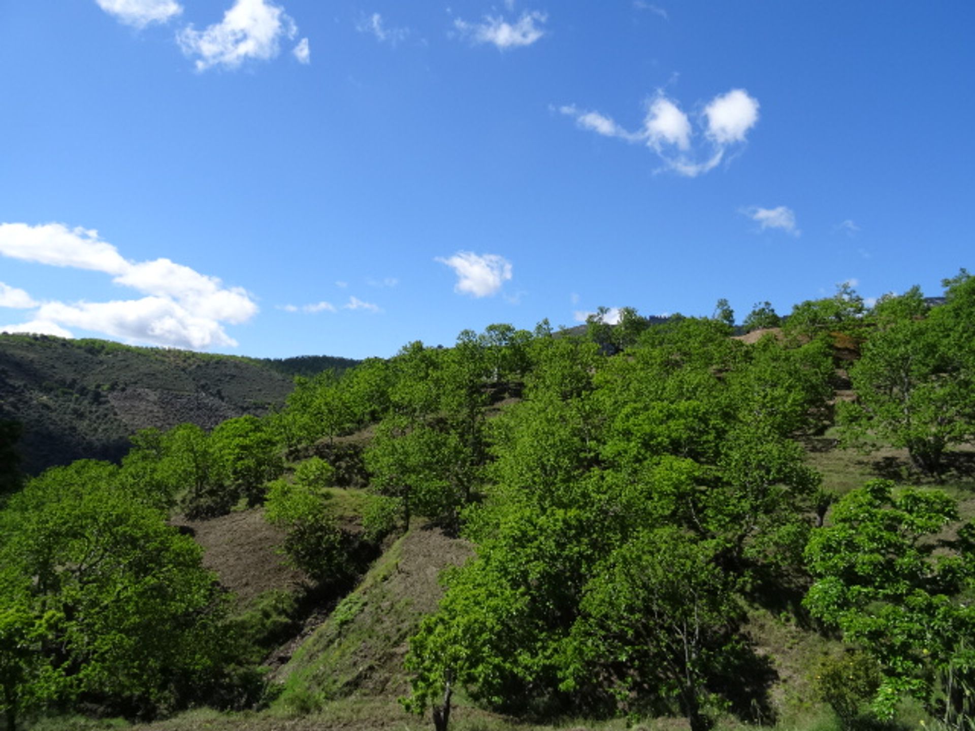 σπίτι σε Yunquera, Andalusia 10023990