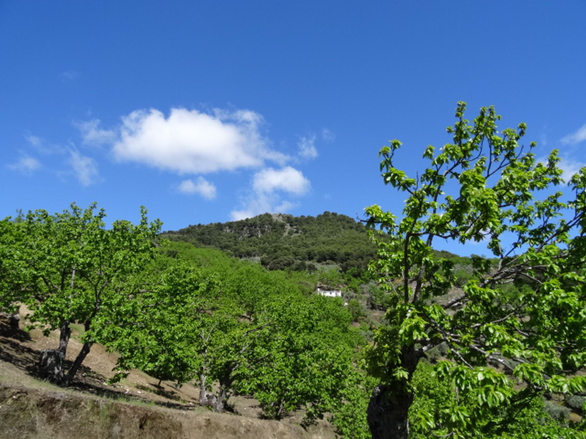 casa en Yunquera, Andalusia 10023990