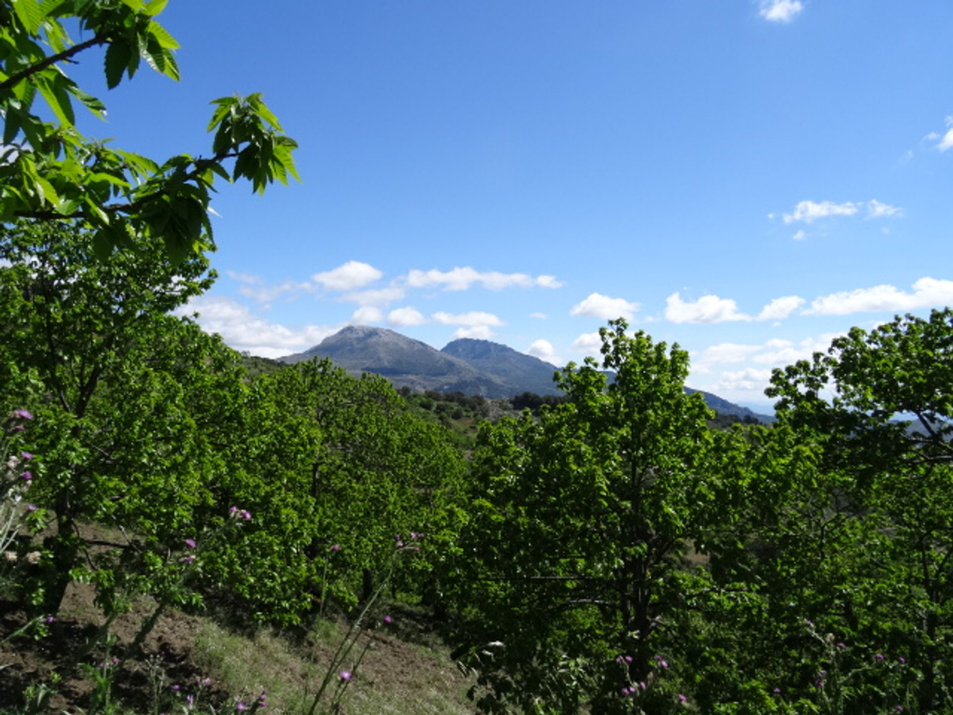 بيت في Yunquera, Malaga 10023990