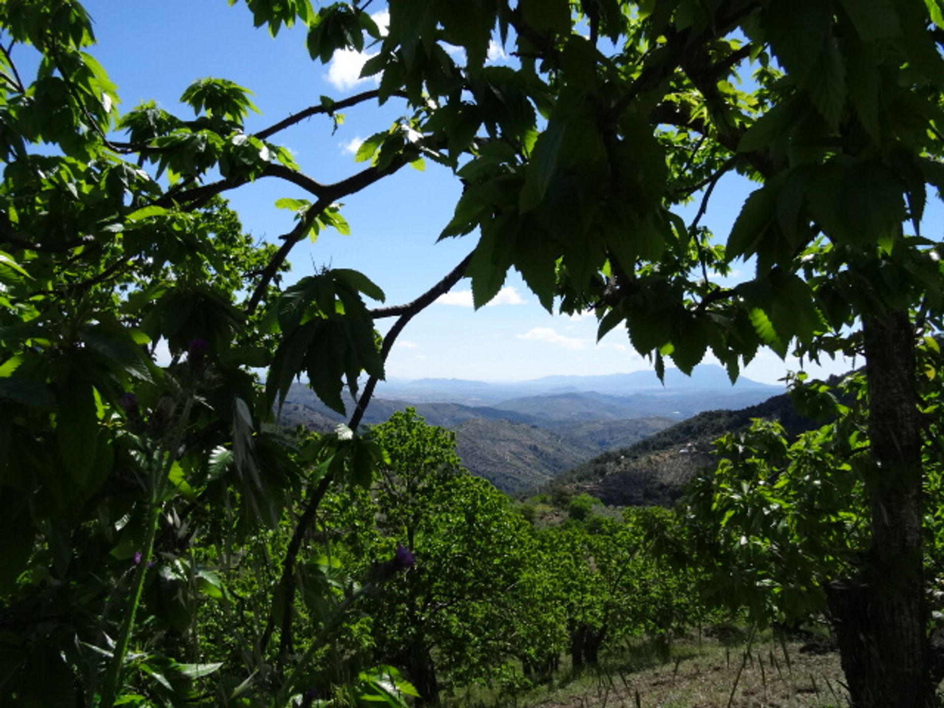 بيت في Yunquera, Malaga 10023990