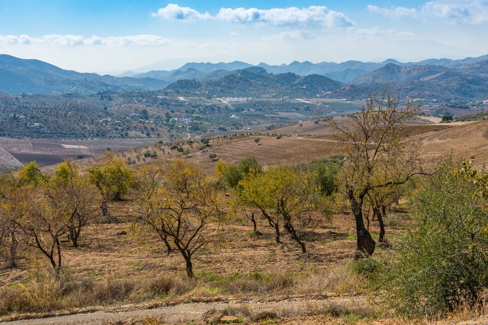 房子 在 Casabermeja, Andalusia 10023997