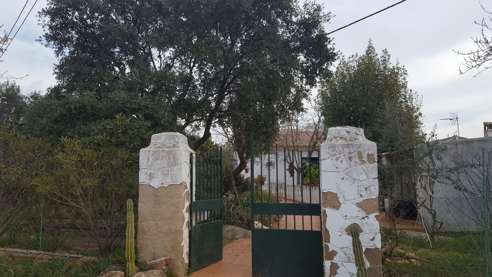 House in Alameda del Obispo, Andalusia 10024017