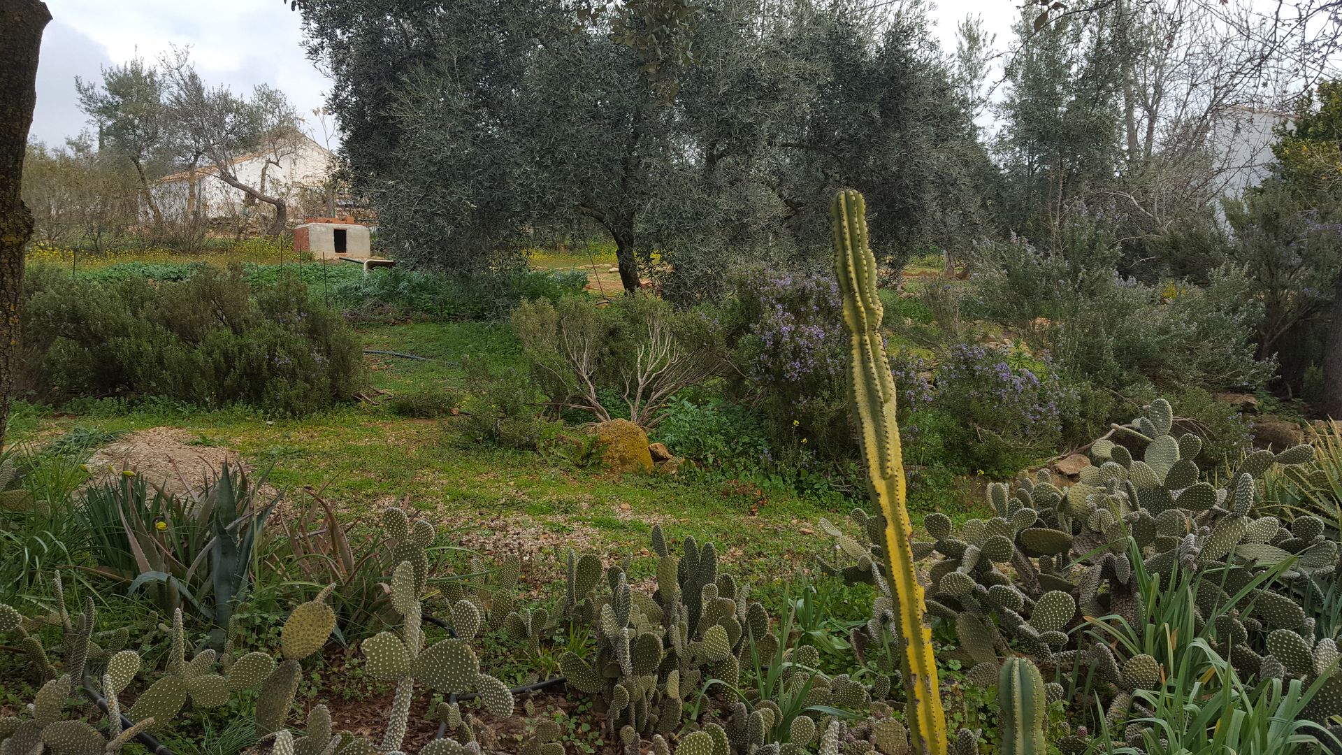 loger dans Alameda del Obispo, Andalousie 10024017