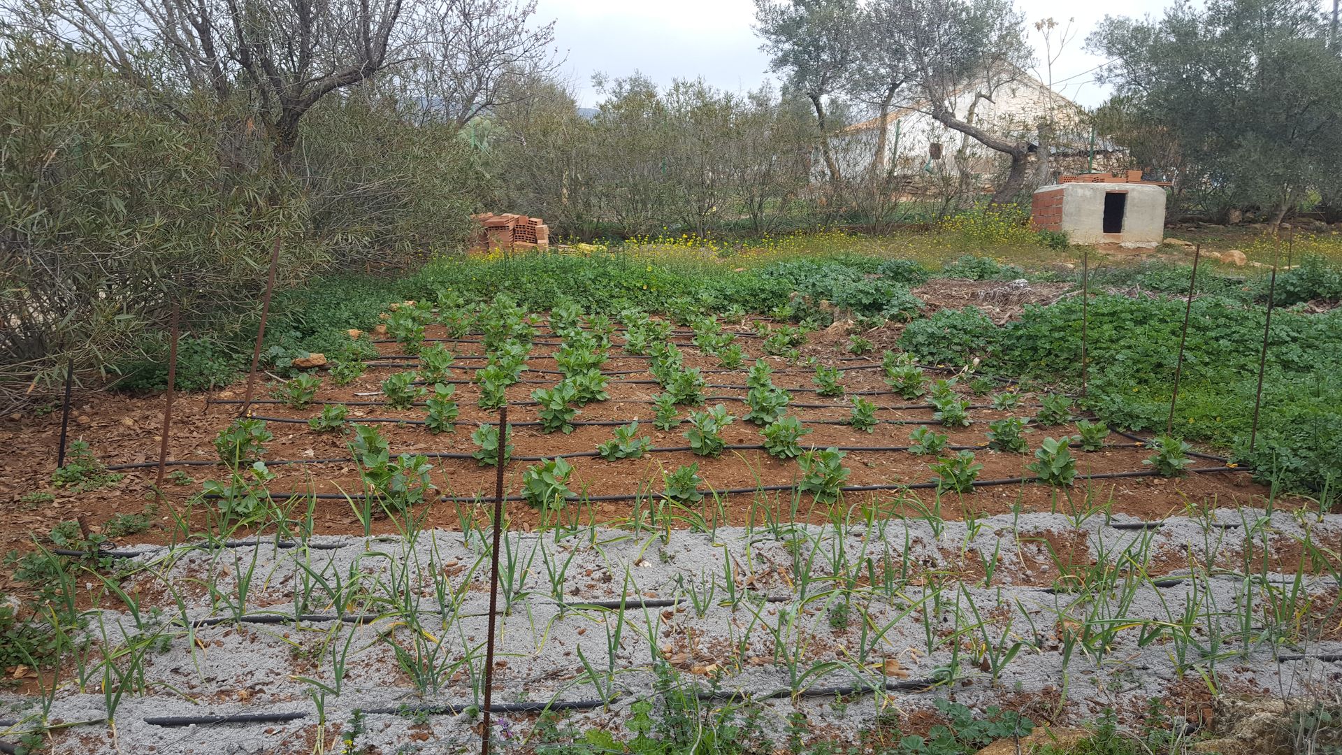 casa en Alameda del Obispo, Andalucía 10024017