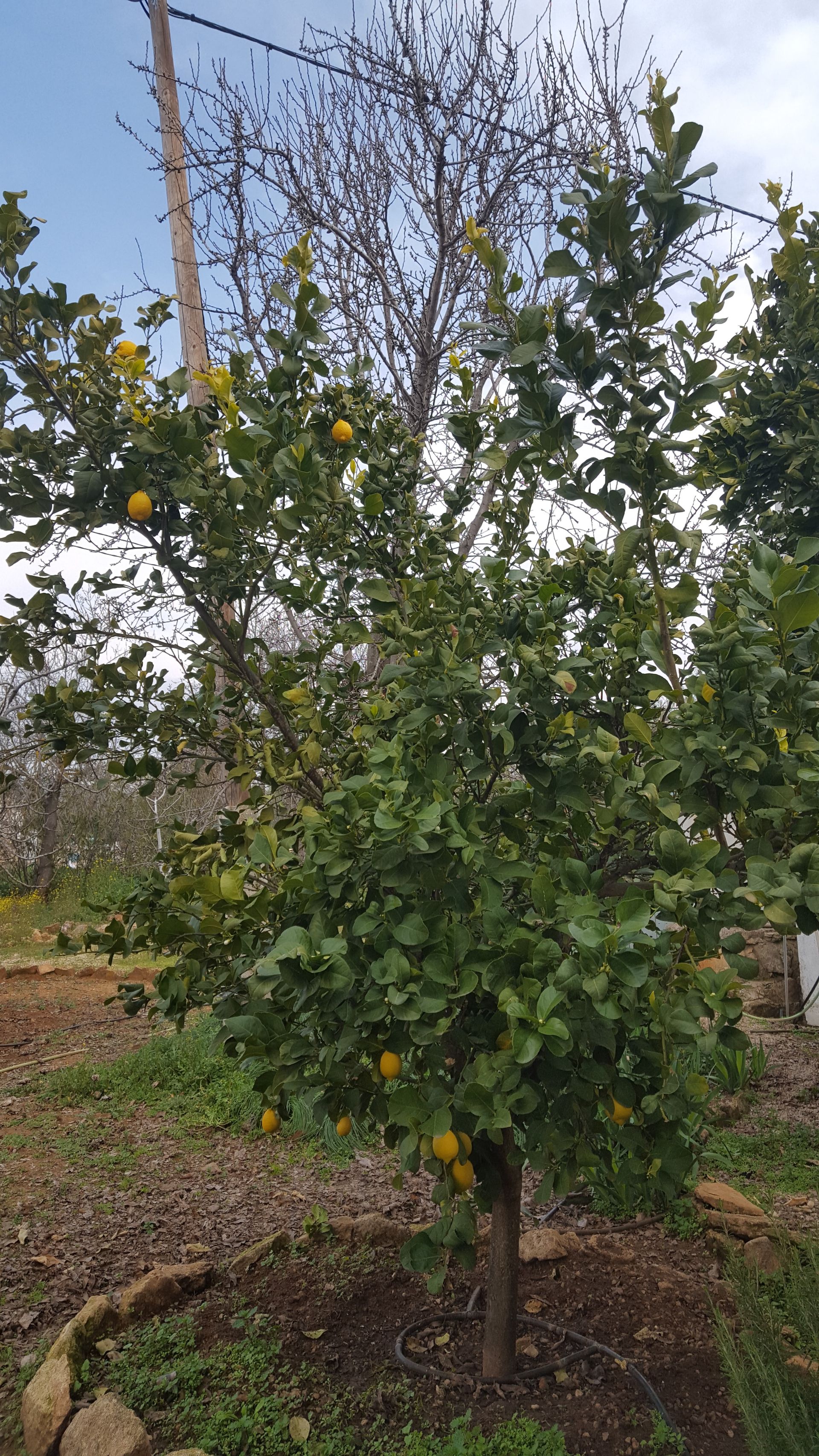 Rumah di Alameda del Obispo, Andalusia 10024017