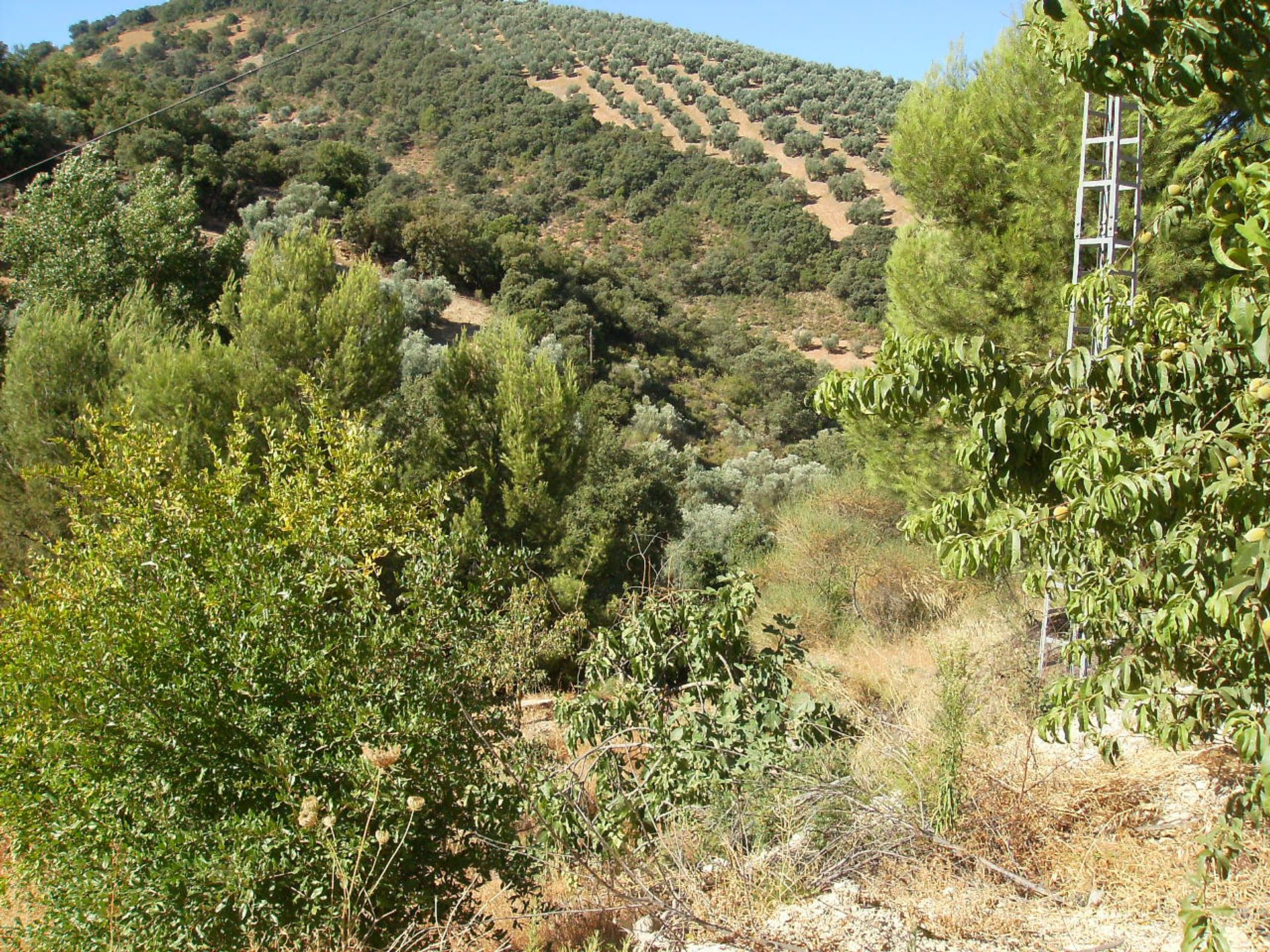 Huis in Villanueva de Algaidas, Andalusië 10024020