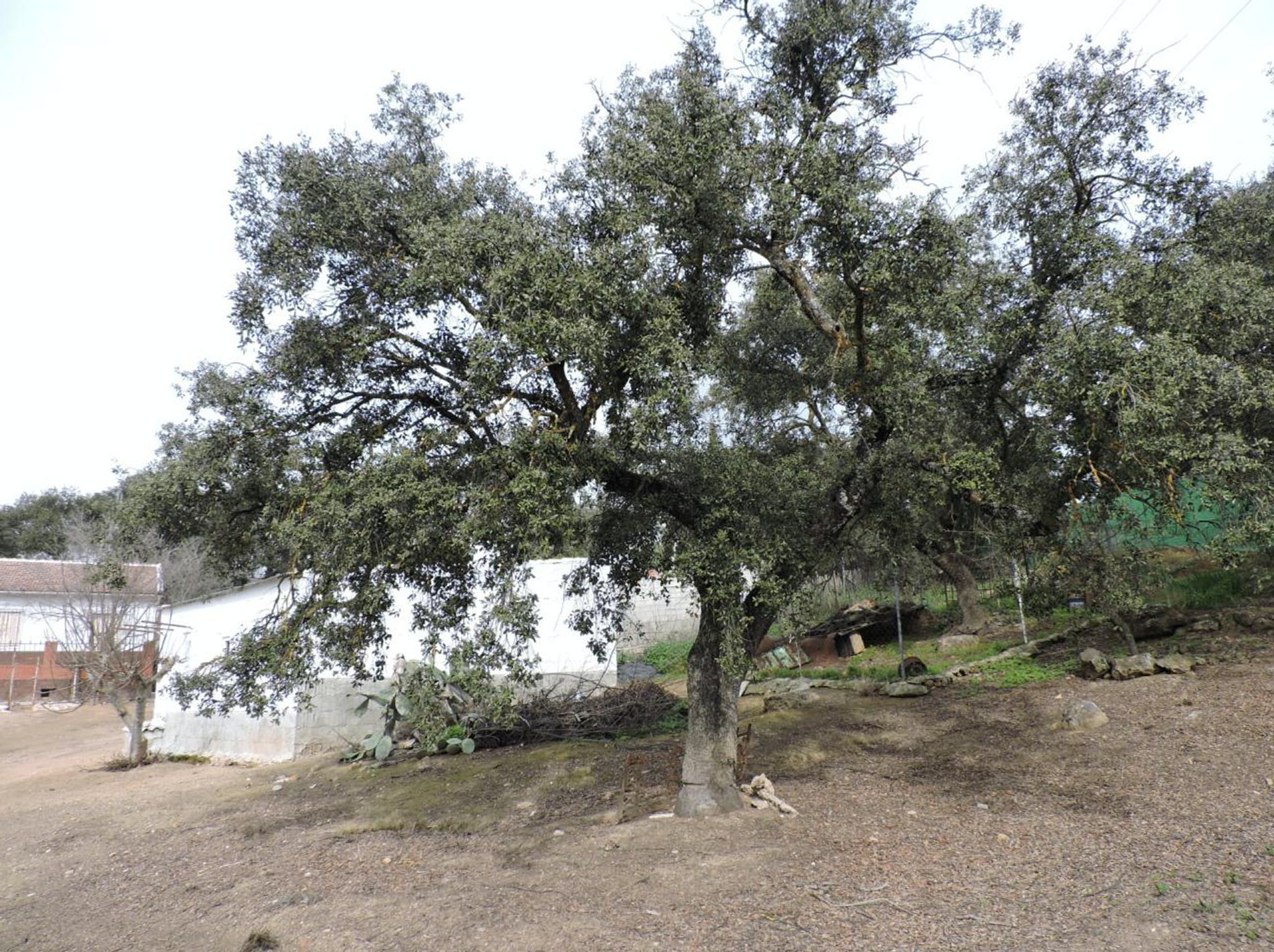 σπίτι σε Las Salinas, Granada 10024029