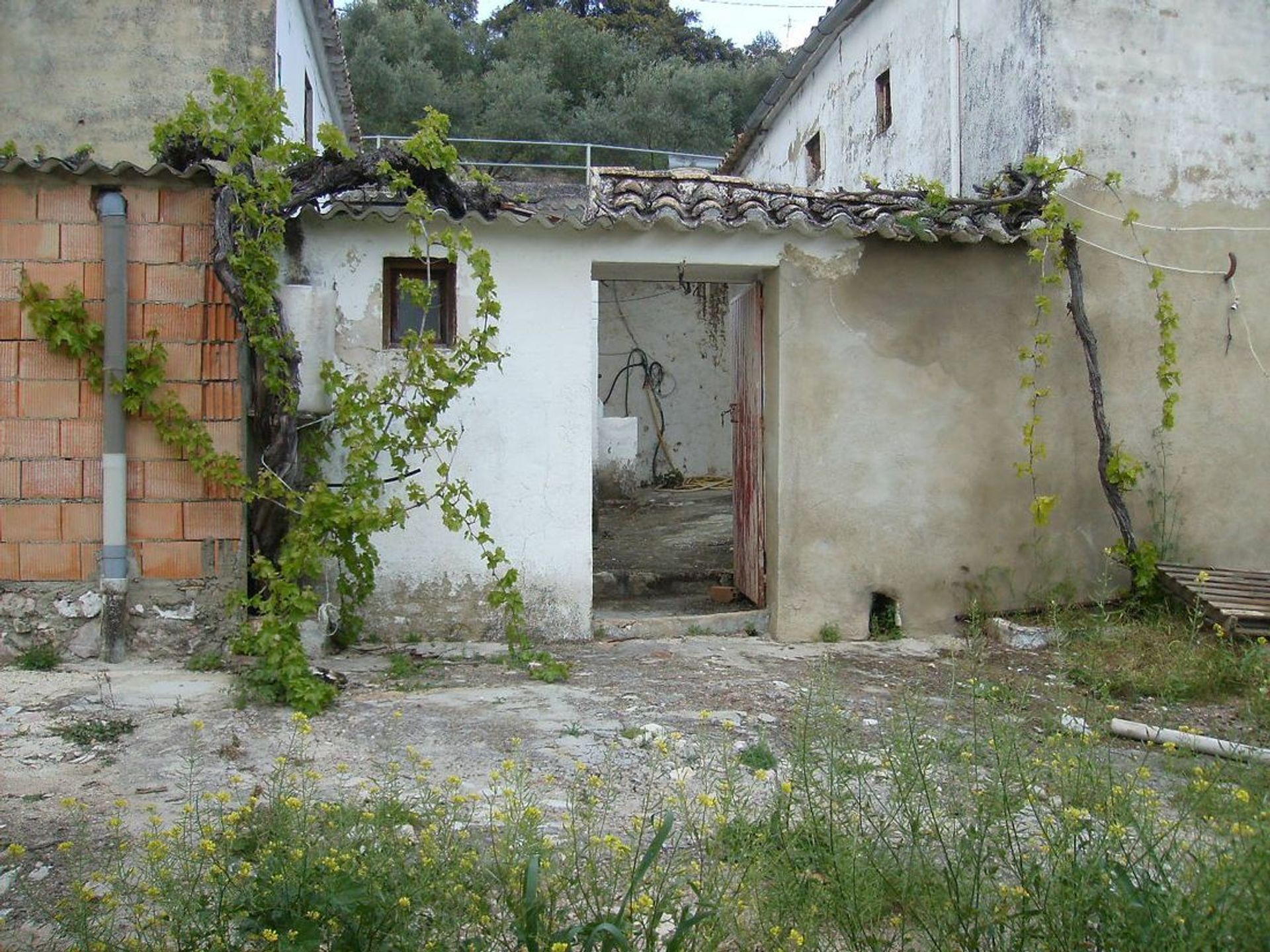 Hus i Iznajar, Andalusia 10024087