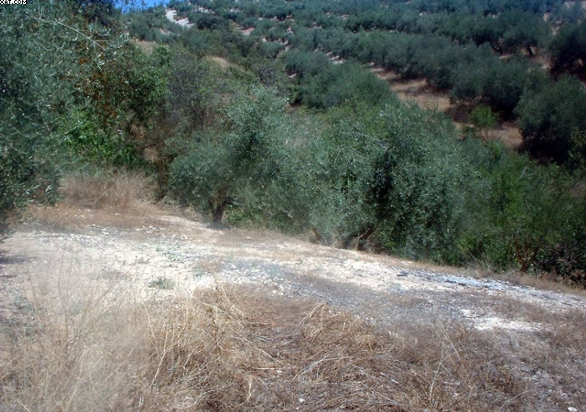 House in Zagra, Andalusia 10024100