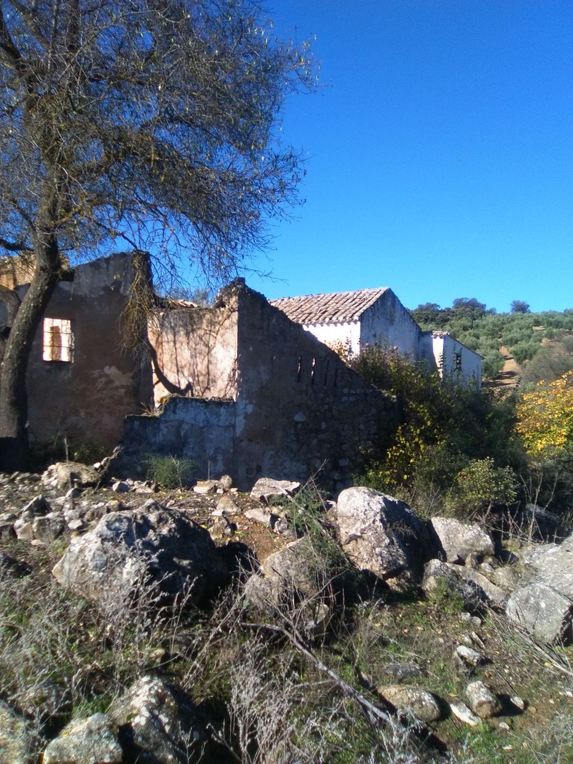 房子 在 Villanueva de Tapia, Granada 10024102