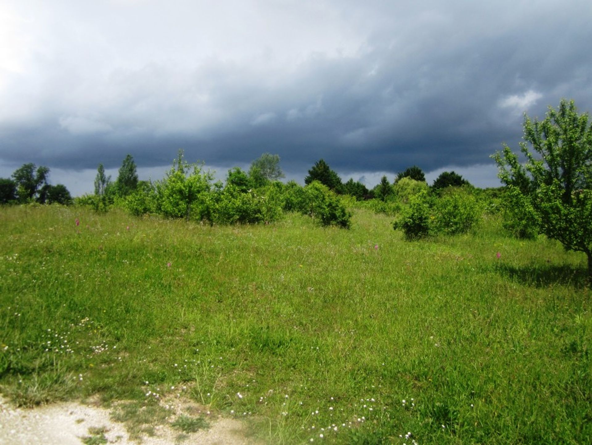 Rumah di Cahuzac, Nouvelle-Aquitaine 10024366