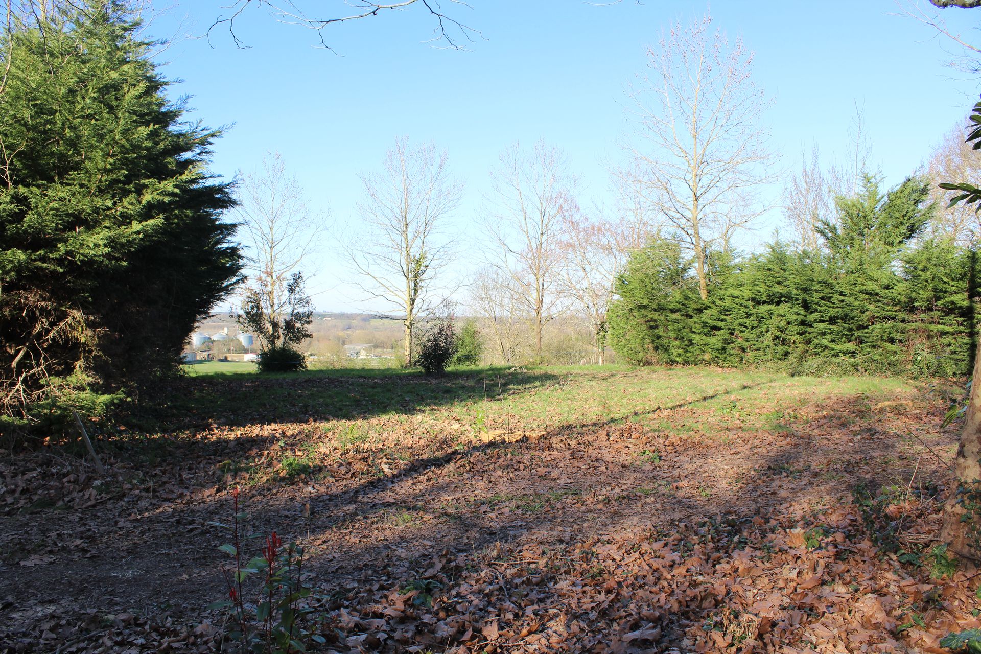 Tanah dalam Castillonnes, Nouvelle-Aquitaine 10024397